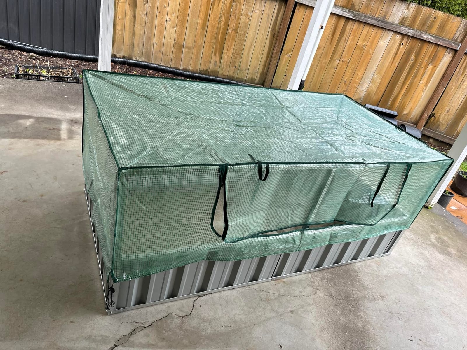 S AFSTAR Raised Garden Bed with Cover, 6FT x 3FT x 3FT Galvanized Bottomless Garden Bed with Greenhouse, Dual 2-Tier Roll-Up Windows, Easy Venting & Watering, Outdoor Metal Planter Box Kit with Cover customer photo 1