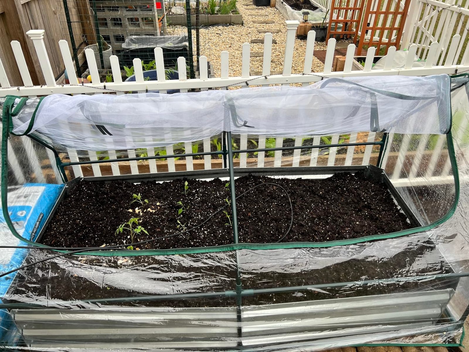 S AFSTAR Raised Garden Bed with Cover, 6FT x 3FT x 3FT Galvanized Bottomless Garden Bed with Greenhouse, Dual 2-Tier Roll-Up Windows, Easy Venting & Watering, Outdoor Metal Planter Box Kit with Cover customer photo 2