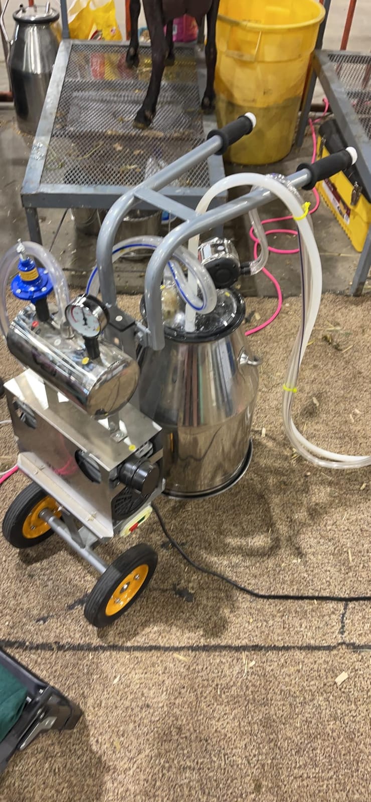 VEVOR Electric Cow Milking Machine 6.6 Gal/25 L Milker 304 Stainless Steel | Automatic Pulsation Vacuum, Food-Grade Silicone Cups and Tubes, Adjustable Pressure customer photo 1