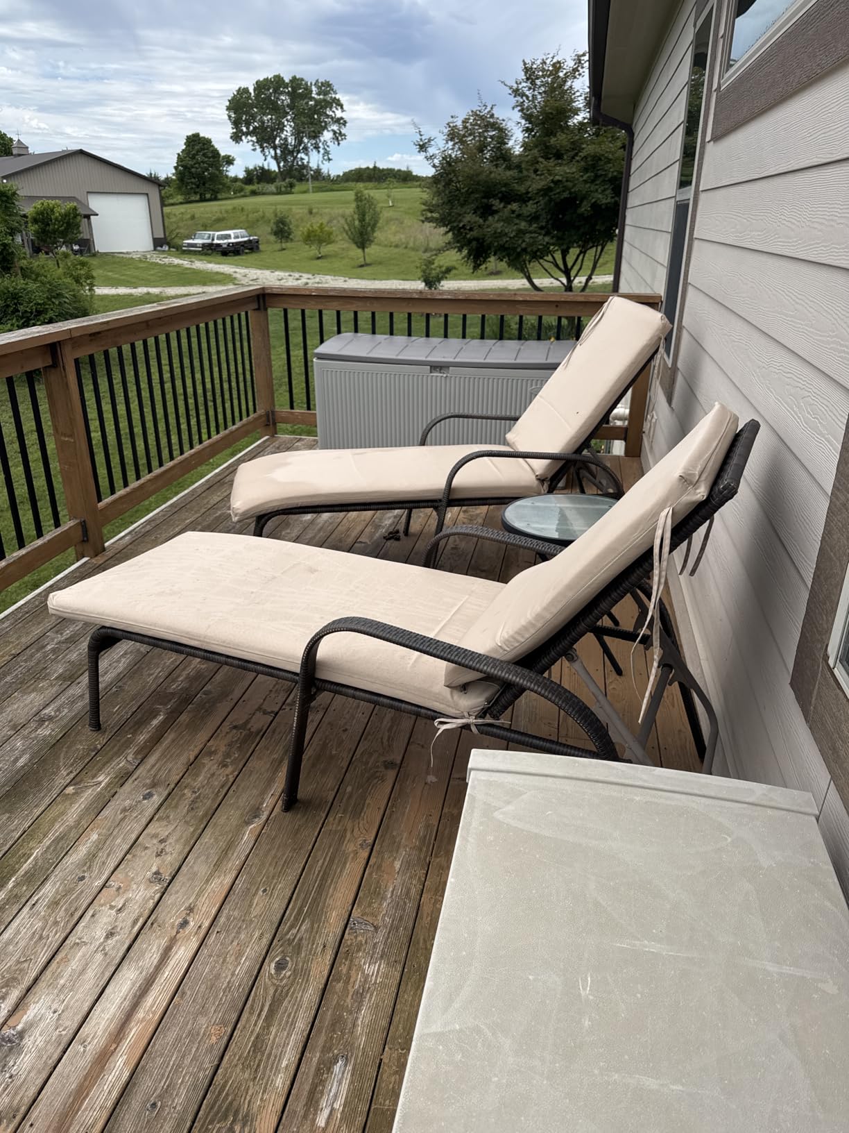 Crestlive Chaise Lounge Cushions Outdoor Set of 2, 72