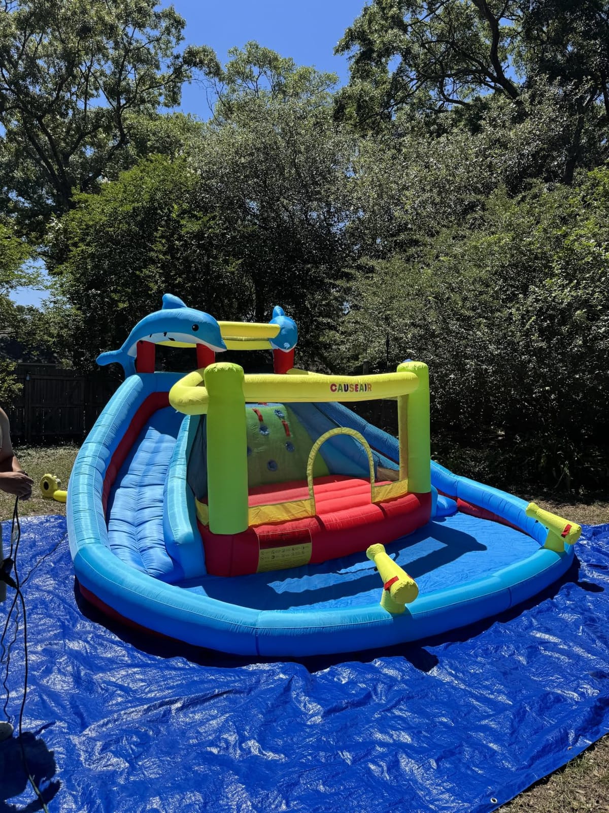 Causeair Inflatable Water Slide with Bounce House,Dolphin Styling,Splashing Pool,Double Water Cannon,Climbing Wall,Heavy Duty Air Blower,Inflatable Water Park Slide for Kids Backyard Summer customer photo 2