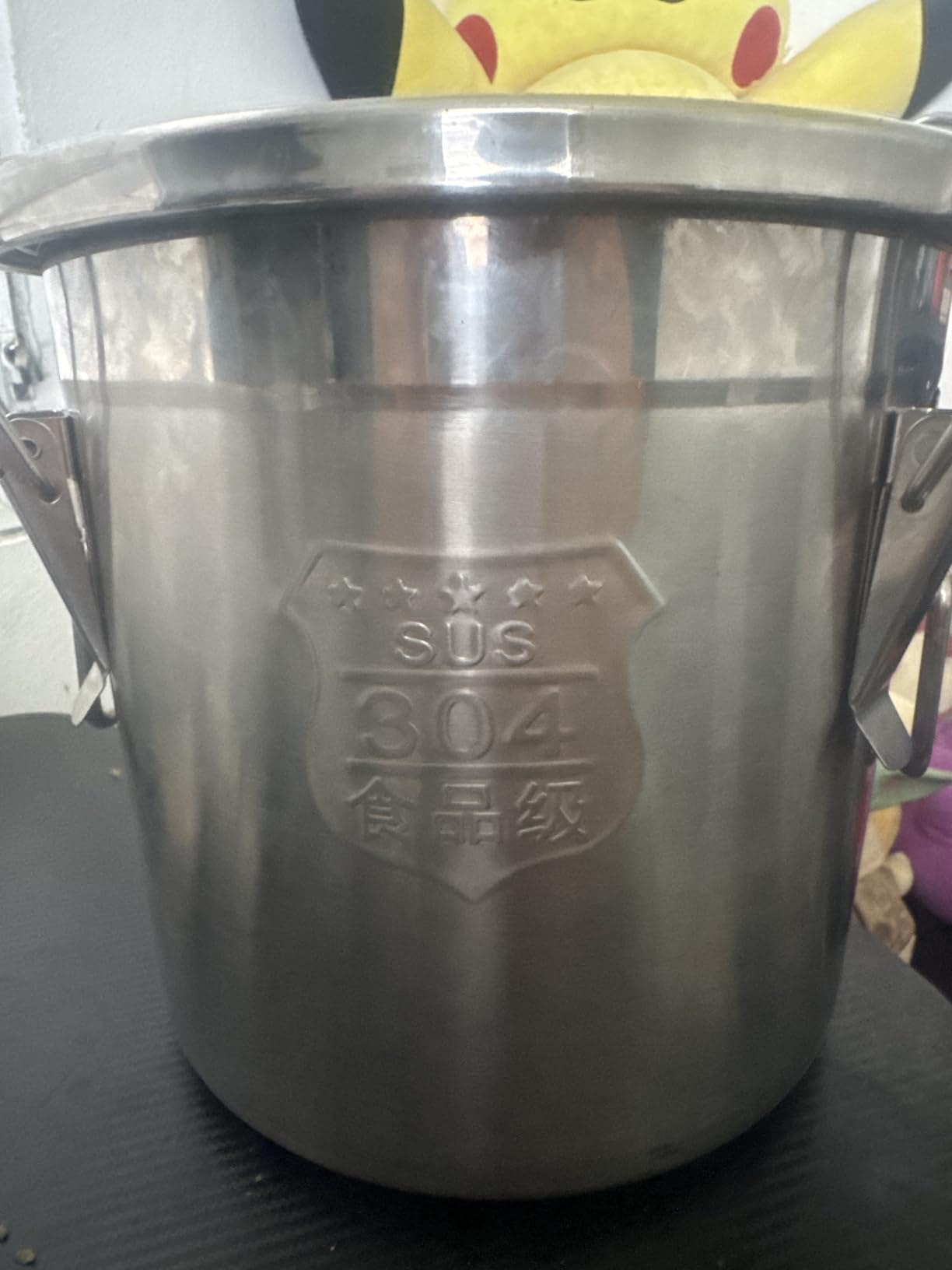 DYNAMI 12.7Gal 304 Stainless Steel Rice Storage Container 40-90Lbs | 48L Extra Large Metal Rice Storage Bucket with Airtight Lid & Locking Buckle, Bird Seed Storage Container 50 lbs, for Rice Flour customer photo 2