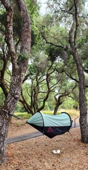 3-in-1 Camping Hammock Tent with Mosquito Net & UV Sunshade | 2-Person Lightweight Hanging Hammock with Tree Straps Aluminum Poles, Converts to Ground Tent for Backpacking Hiking Travel customer photo 1