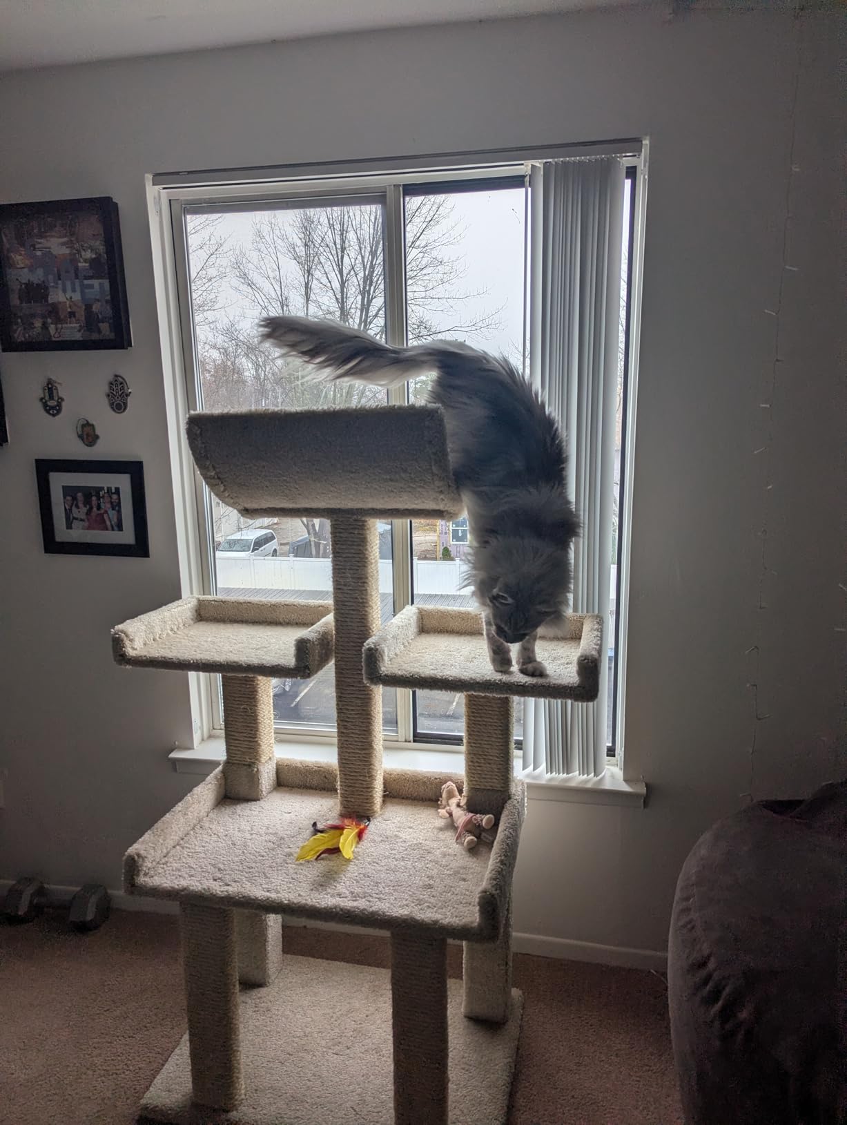 Prestige Cat Trees Extra Large Cat Tree Tower for Big Cats customer photo 1