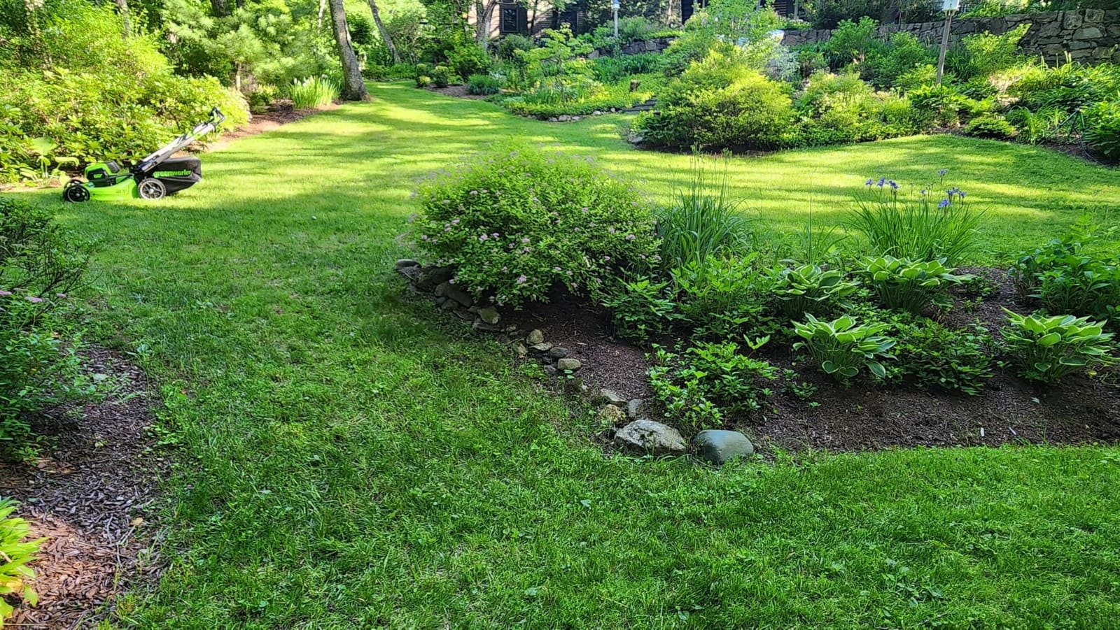 Greenworks 80V 21in Self-Propelled Lawn Mower, 4.0 Ah Battery and Charger customer photo 2