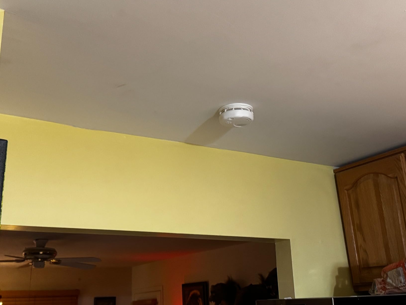 First Alert 10-Year Battery Smoke Alarm, Dual Sensor customer photo 2