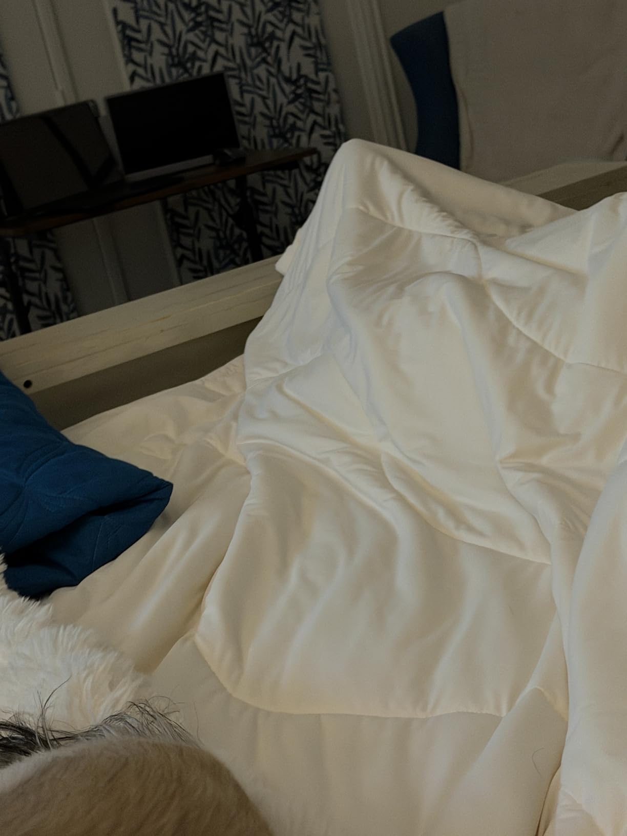 REST Evercool Cooling Comforter Blanket for Hot Sleepers, Full/Queen | All-Season Bedding to Keep Cool, Reversible Cool-to-Touch Fabric for Night Sweats, Breathable, Lightweight, Machine Washable customer photo 2