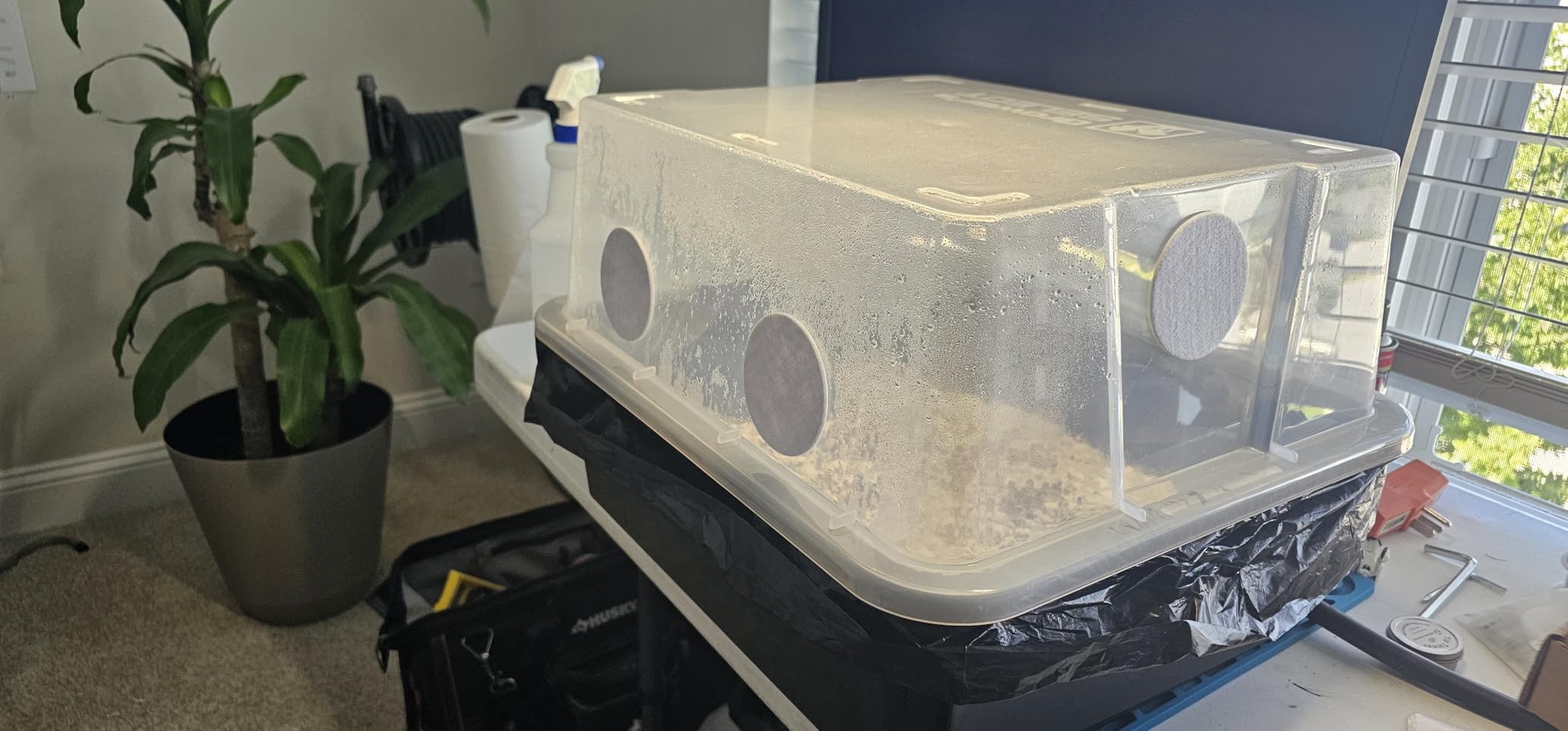 Myco Labs Grower's Select 66Q Large Mushroom Monotub Fruiting Chamber with Filter Disks and Liner customer photo 1