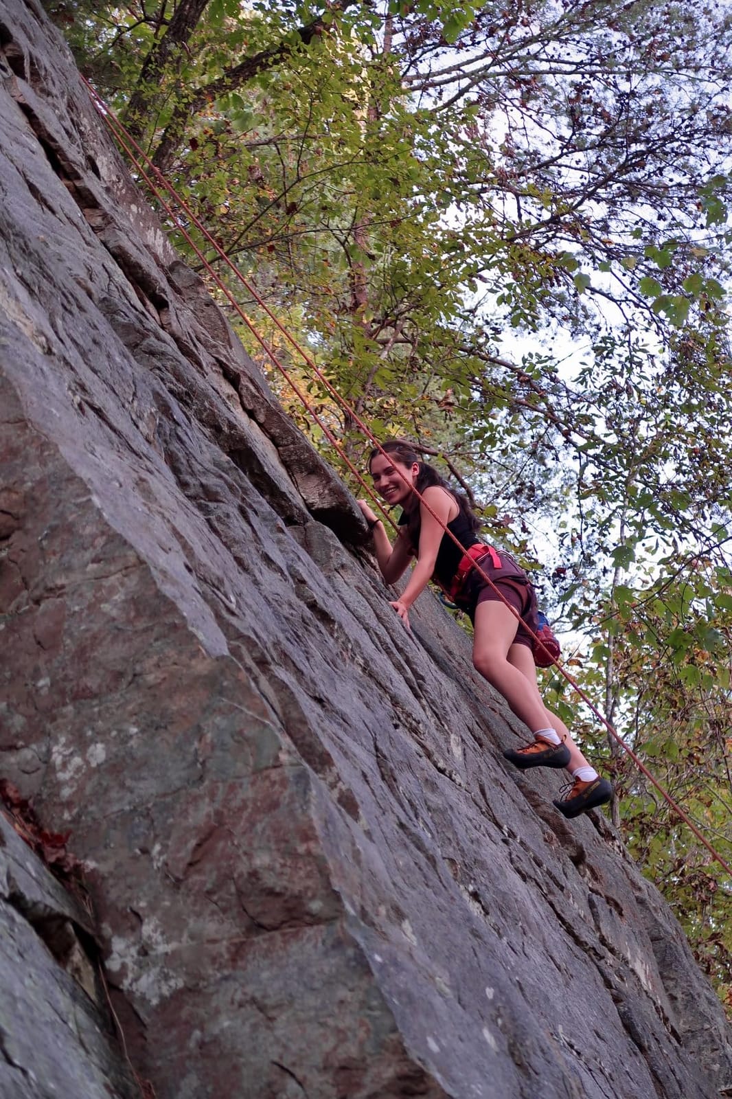 BLACK DIAMOND Women's Momentum Rock Climbing Harness, Adjustable Loops customer photo 1
