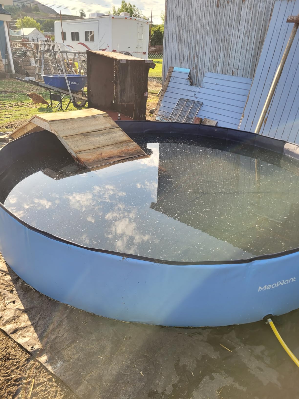 Meowant Extra Large Dog Pool Foldable 97'', Hard Plastic Kiddie Pool | Dog Swimming Pool Collapsible Dog Pet Bath Pool, Portable Deep Dog Pools for Large Dogs (5XL-97'' × 16'') customer photo 2
