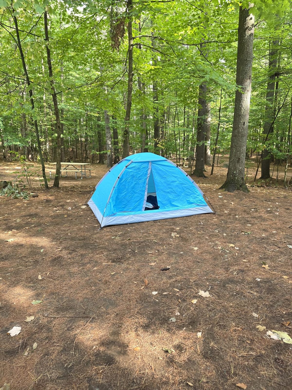 JELUCAMP 1/2/4/6 Person Dome Tents for Camping Lightweight Backpacking Tent customer photo 2
