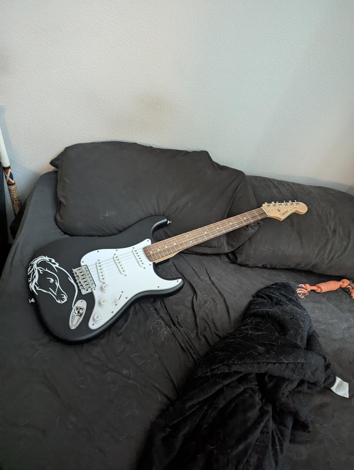 Fender Squier Stratocaster Beginner Electric Guitar, Matte Black customer photo 1
