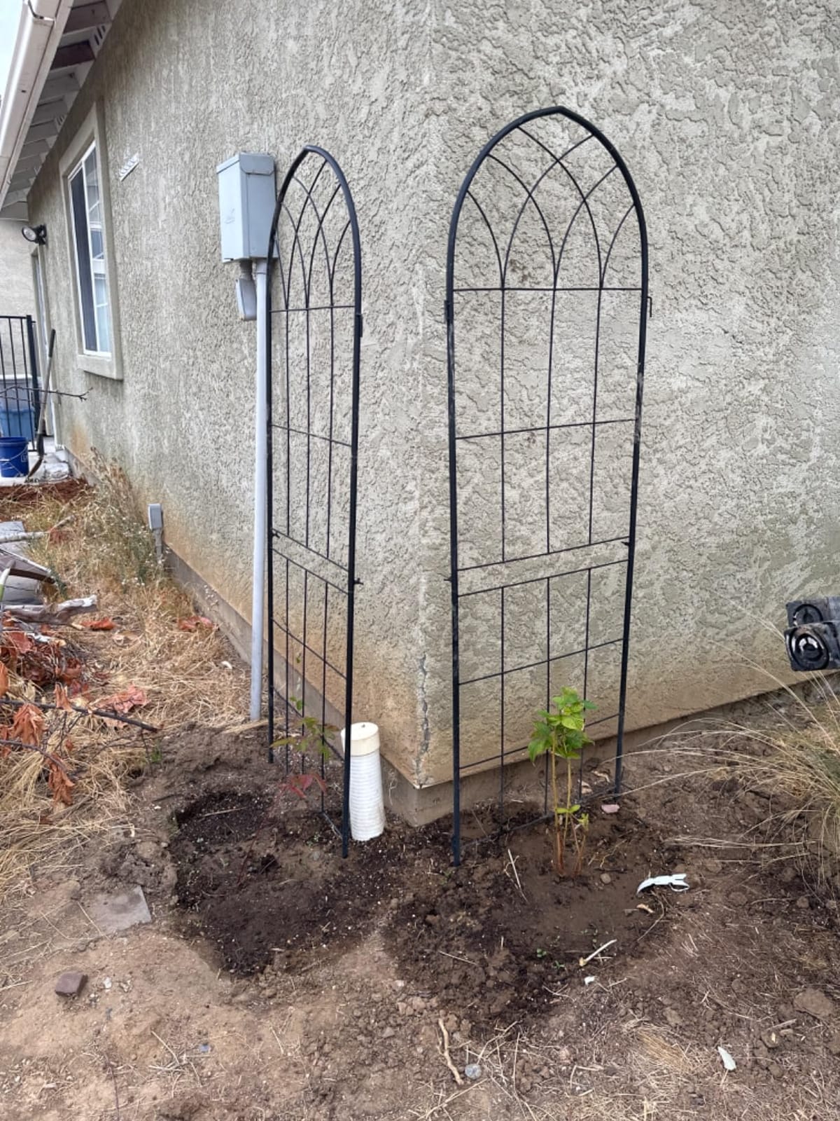 LZRS 71 x 80in Rustic Iron Arch Decoration Garden Trellis with Black Metal Coating – Perfect for Supporting Climbing Plants Outdoor, Roses, Vines, Flowers, and Vegetables. customer photo 1