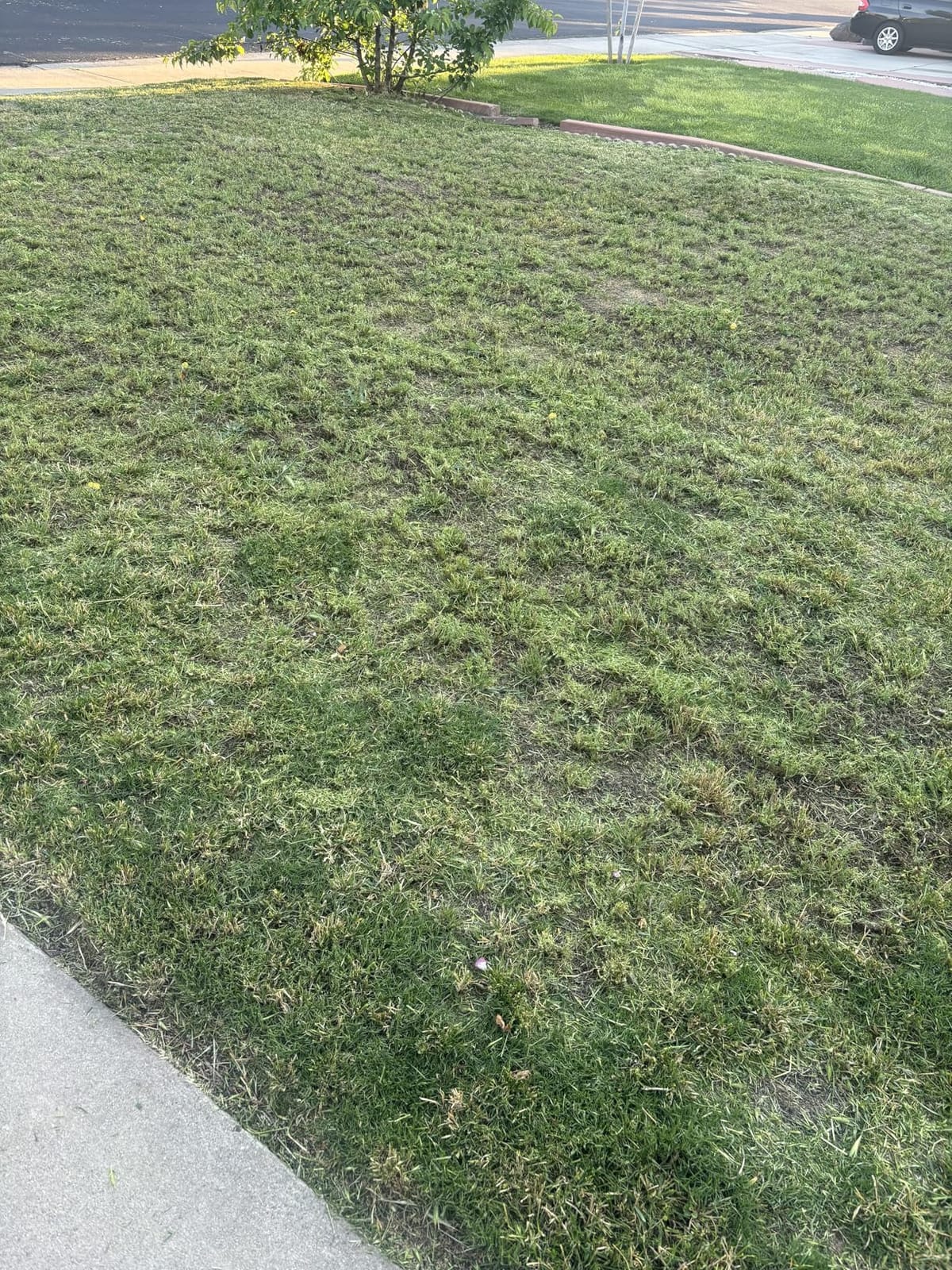 LawnMaster 48V MAX 19-inch Brushless Cordless Lawn Mower, CLMF4819X customer photo 1
