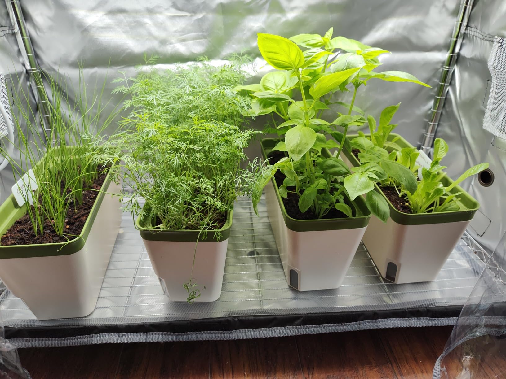 Indoor Greenhouse with Grow Lights & Cover, 29.8