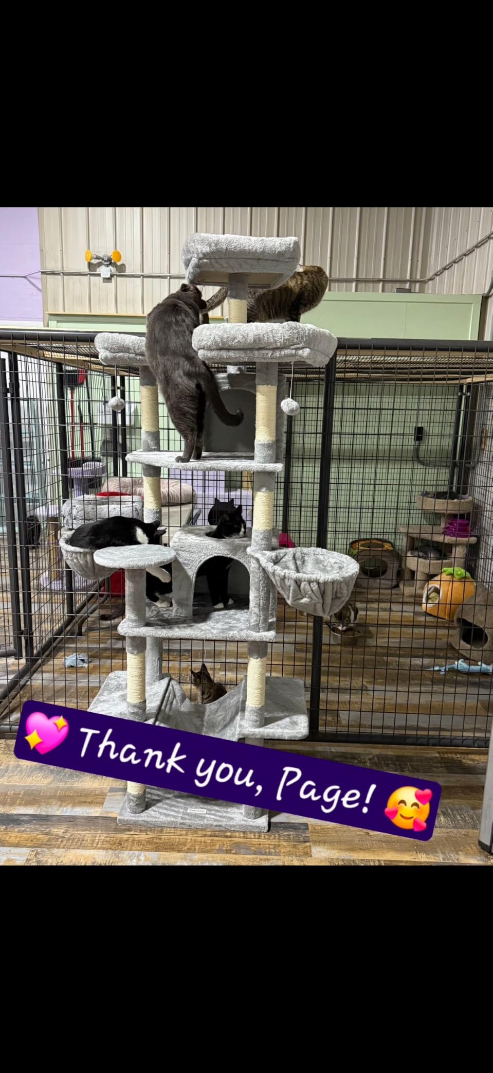 Globlazer Big XXL Cat Tower for Indoor Multiple Cats, F80, Dark Grey customer photo 1