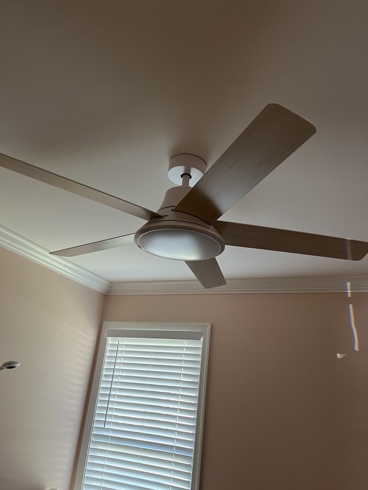 DREO Smart Ceiling Fan with Lights, 52 Inch, 12 Speeds & 3 Fan Modes, Stepless, Dimmable LED Light, Timer, 22dB Quiet DC Motor, Remote/APP/Alexa Control, Black Ceiling Fans Indoor, 2026 Upgraded customer photo 2
