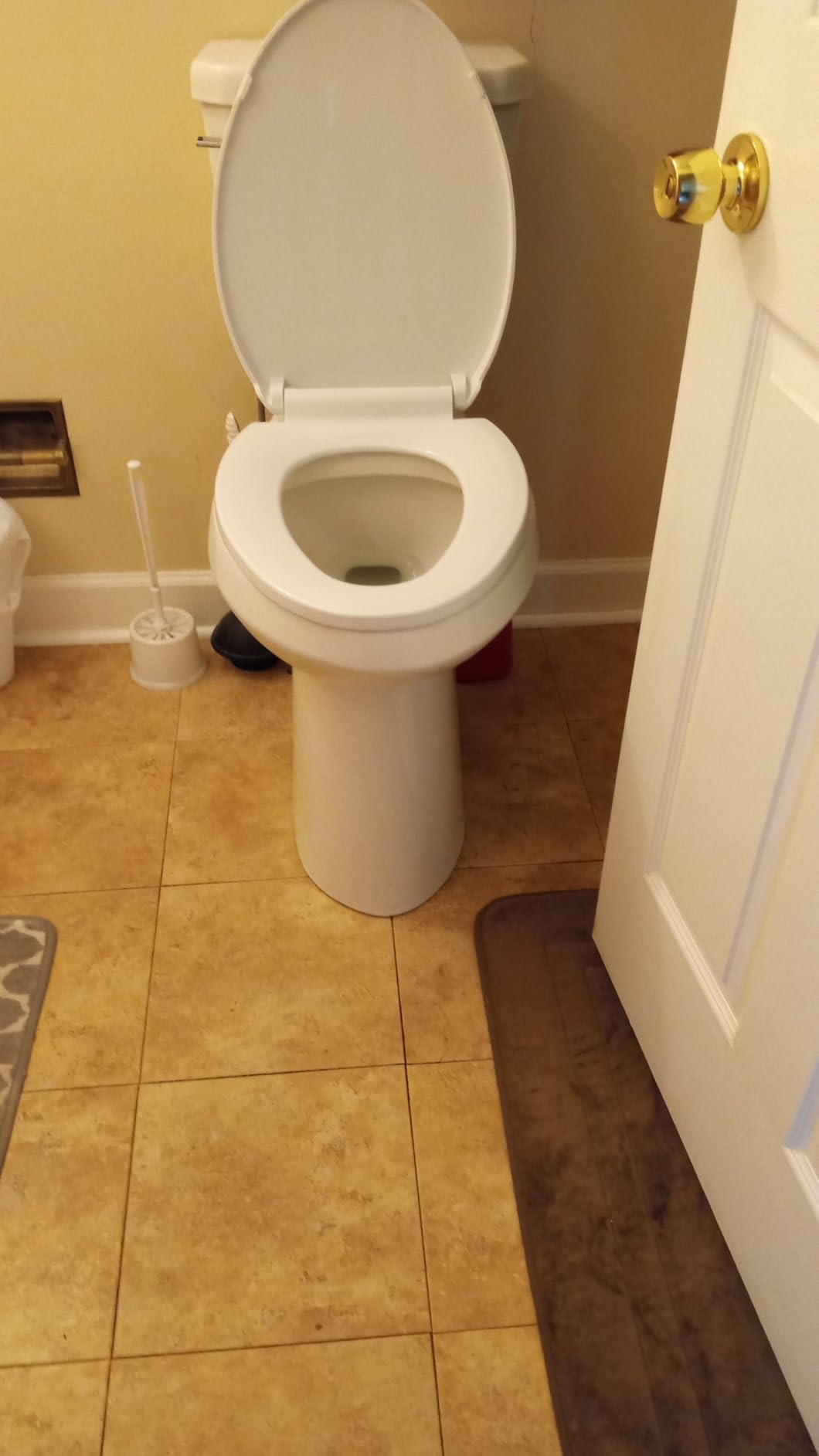 Simple Project 21 Inch High Tall Toilet for Seniors & Tall Person customer photo 2