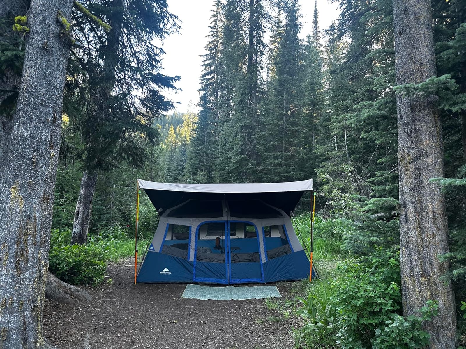Naturehike Cloud Skies Camping Tent Tarp with Poles, Waterproof PU 18000mm+ Rain Shelter, Anti-UV UPF2000+ Camping Sun Shelter Canopy customer photo 1