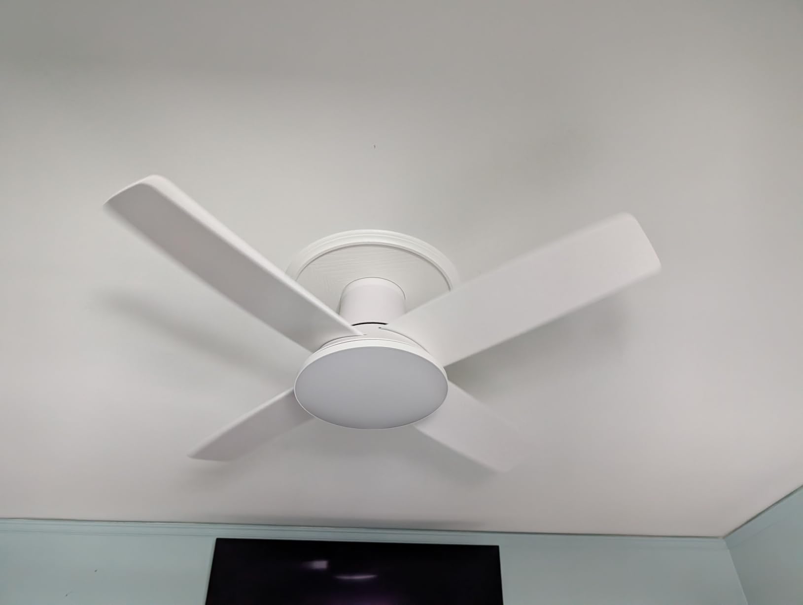 DREO Ceiling Fans with Lights, 44'', RGBIC Flush Mount Smart Ceiling Fan customer photo 1
