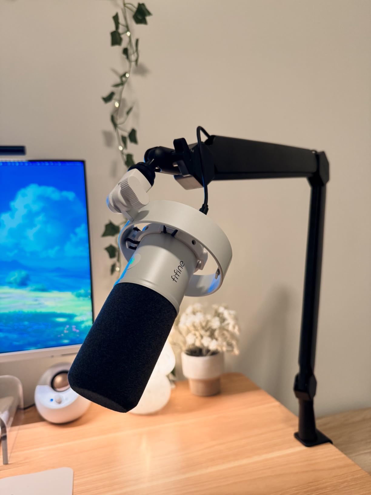 FIFINE BM66 Heavy Metal Microphone Boom Arm Stand for Podcast Recording customer photo 2