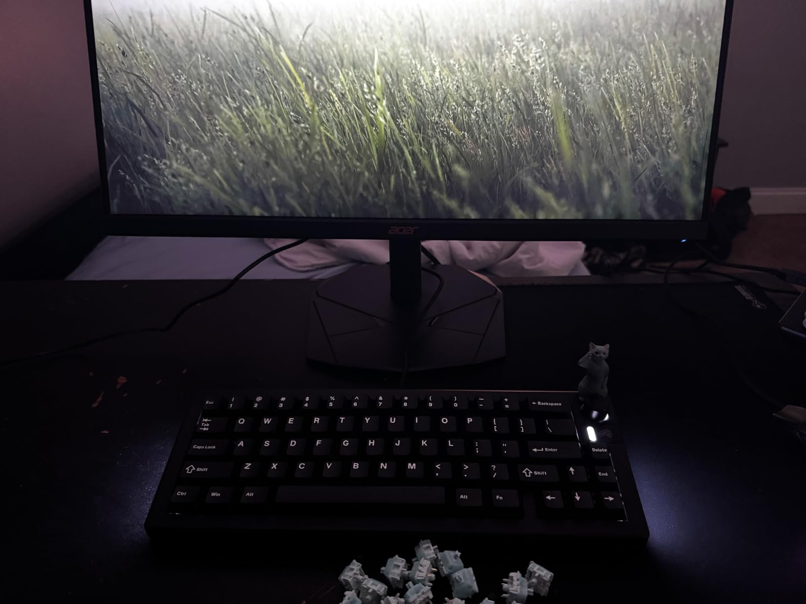 Womier Double Shot PBT Keycaps Set Custom Cherry Profile Key caps customer photo 2