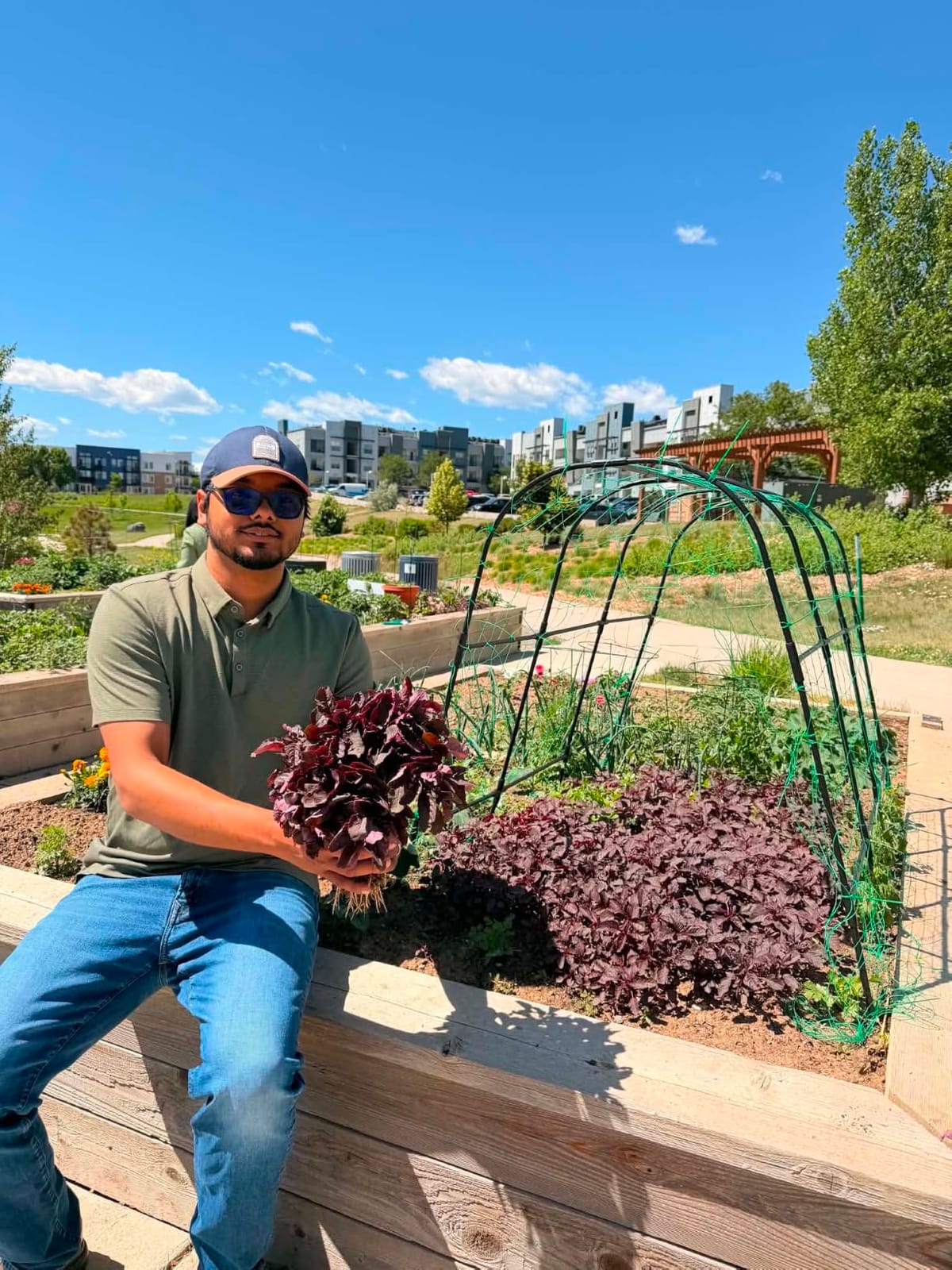 Cucumber Trellis for Raised Bed,U-Shape Garden Trellis for Climbing Plants Outdoor, Metal Arch Vegetables Trellis, Plant Support for Vine (Green, 47.2x47.2 X21.6) customer photo 2