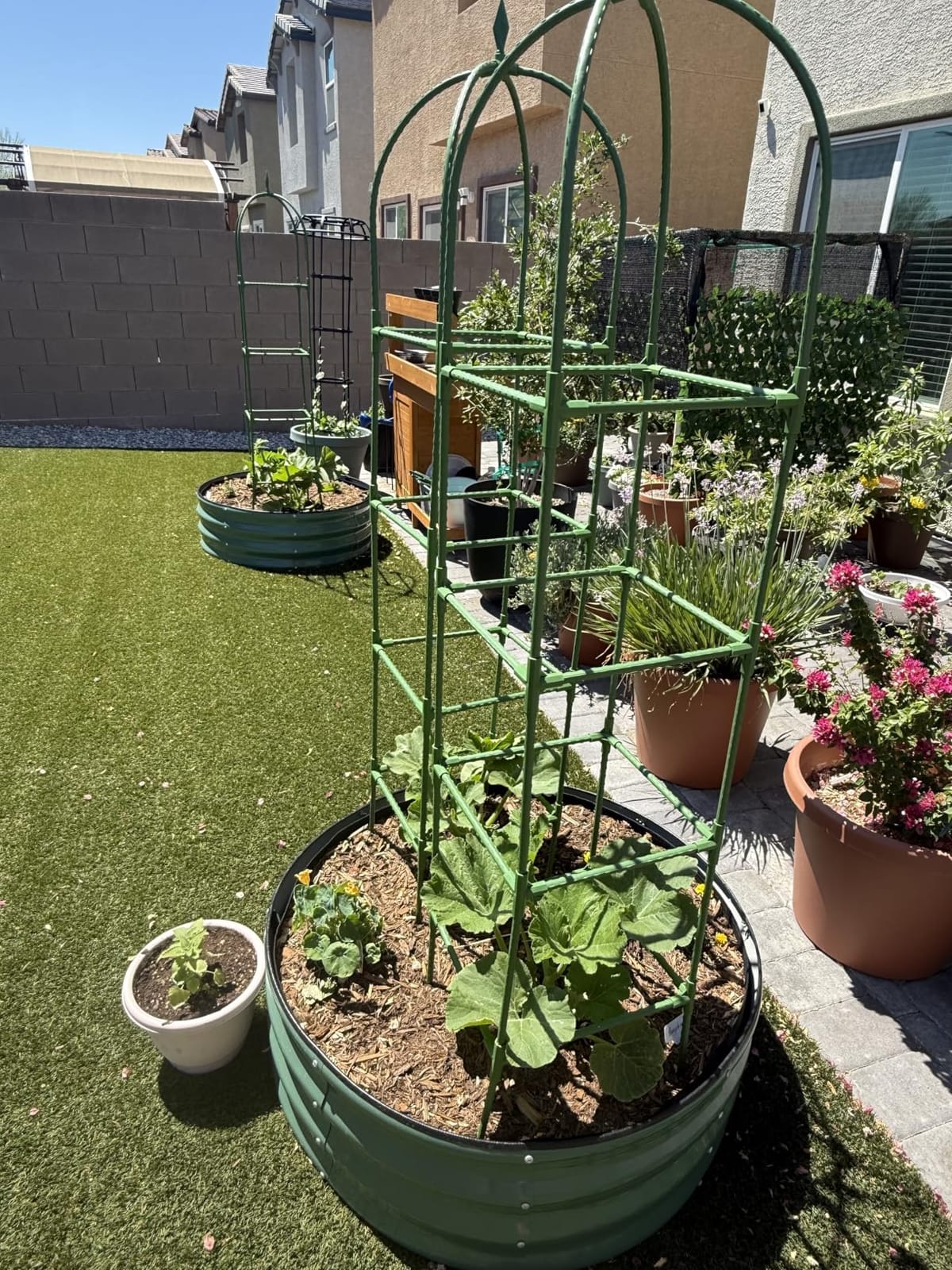 Trellis for Climbing Plants Outdoor, 6FT Garden Obelisk Rustproof PE Coated Metal Potted Plant Climbing Support, Thickened Tube Plant Tower Trellis for Clematis Vine Support Indoor (1 Pack) customer photo 2