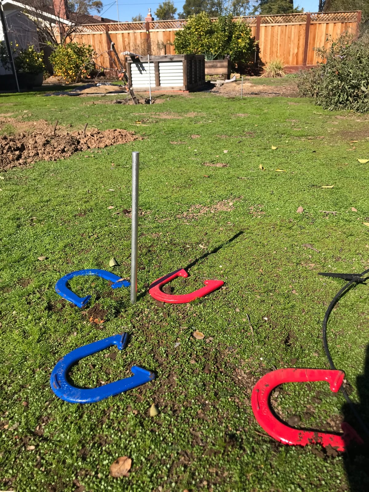 GoSports Steel Horseshoes Outdoor Game Set - Gold & Silver or Red & Blue - Official Size and Weight customer photo 1