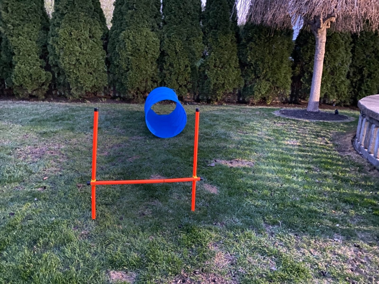 XiaZ Dog Agility Course Backyard Set, Dog Obstacle Course Training Starter Kit Pet Outdoor Game with Tunnel, Agility Hurdle, Weave Poles, Jump Ring, Pause Box, Collapsible Dog Bowls and Storage Bag customer photo 1