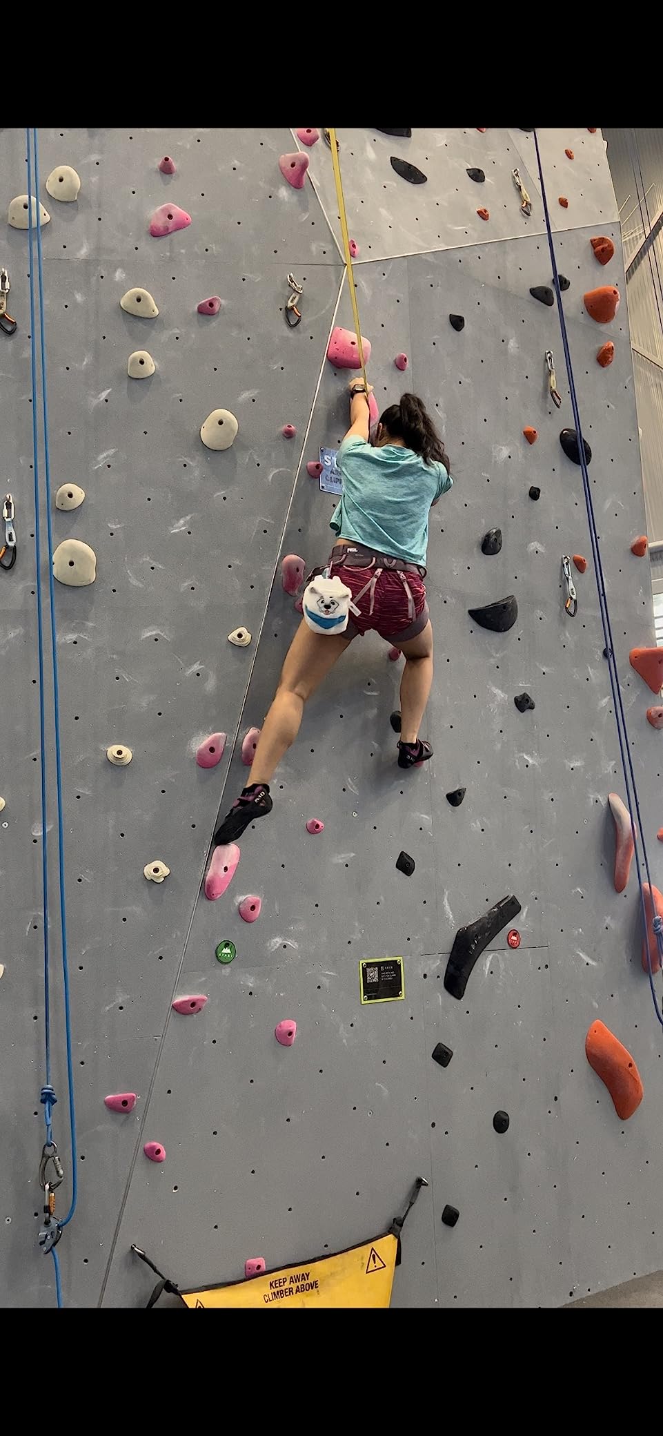 PETZL Selena Women's Climbing Harness customer photo 2