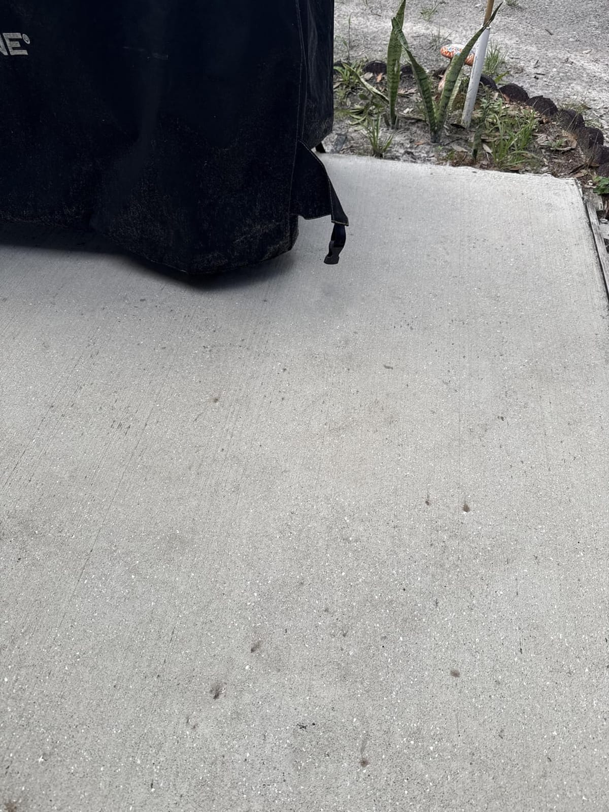 Elemonator: House Wash Surfactant for Siding, Roof and Concrete Cleaning, Bleach Additive, Soft Wash Soap, 1/2 Gallon, 64 Fl Oz (QTY 1) customer photo 1