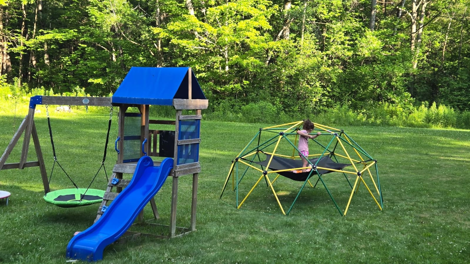 Amictoy Climbing Dome with Hammock and Swing, 10FT Backyard Jungle Gym customer photo 2