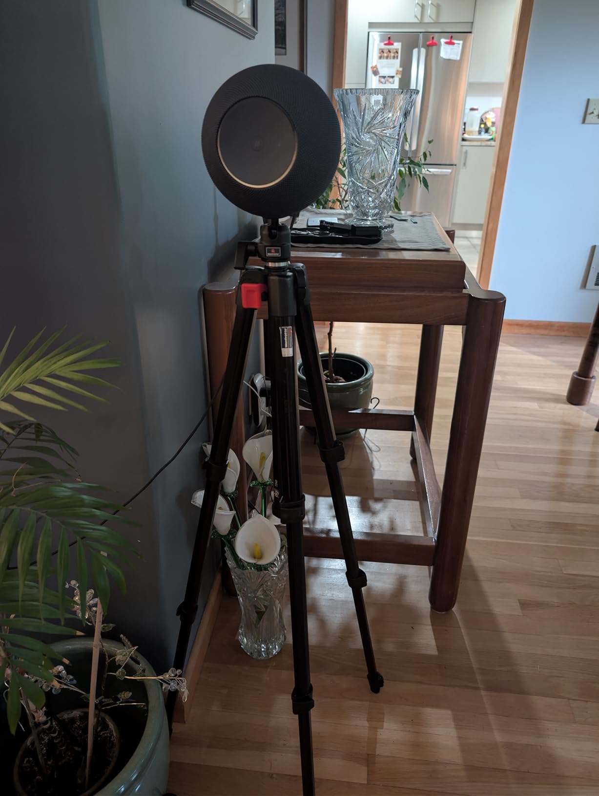 Amazon Echo Studio (newest model), Immersive spatial audio and Dolby Atmos, Designed for Alexa+, Graphite customer photo 2
