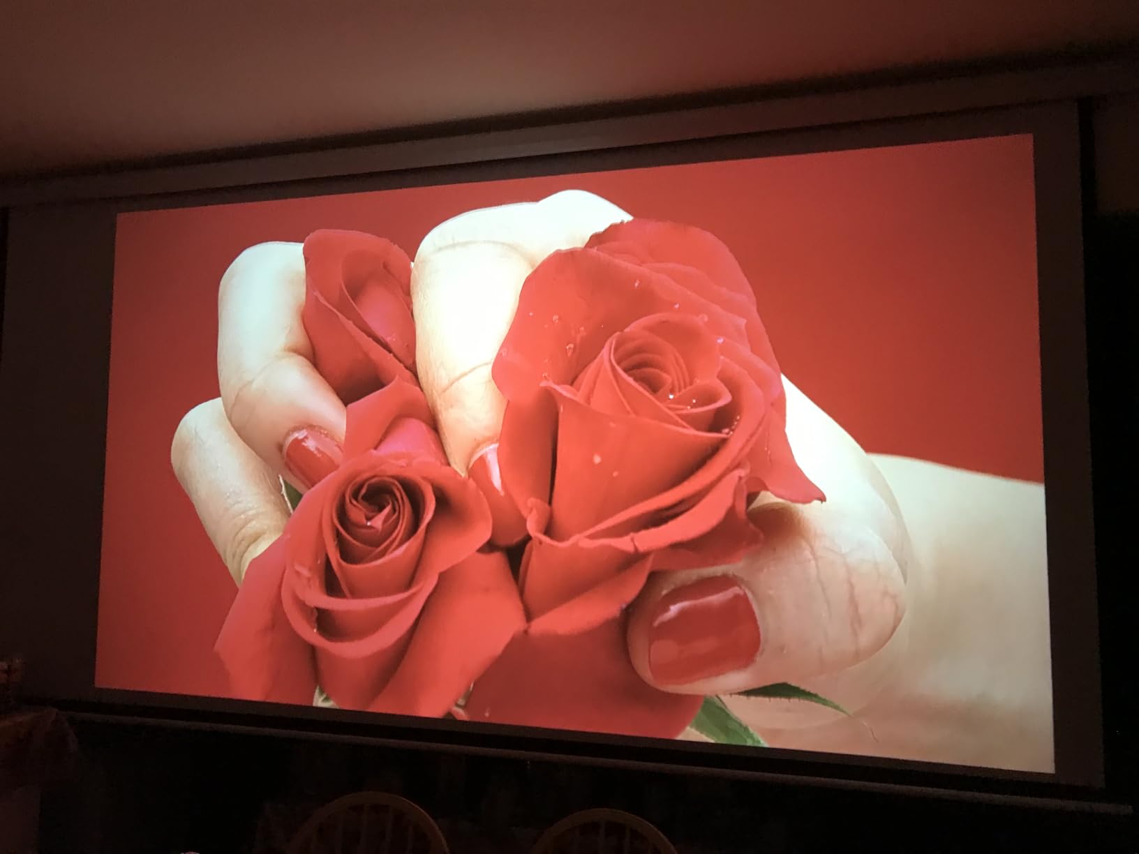 YODOLLA Projector Screen Motorized Auto Pull Down Screens(120'' 16:9 White) customer photo 2