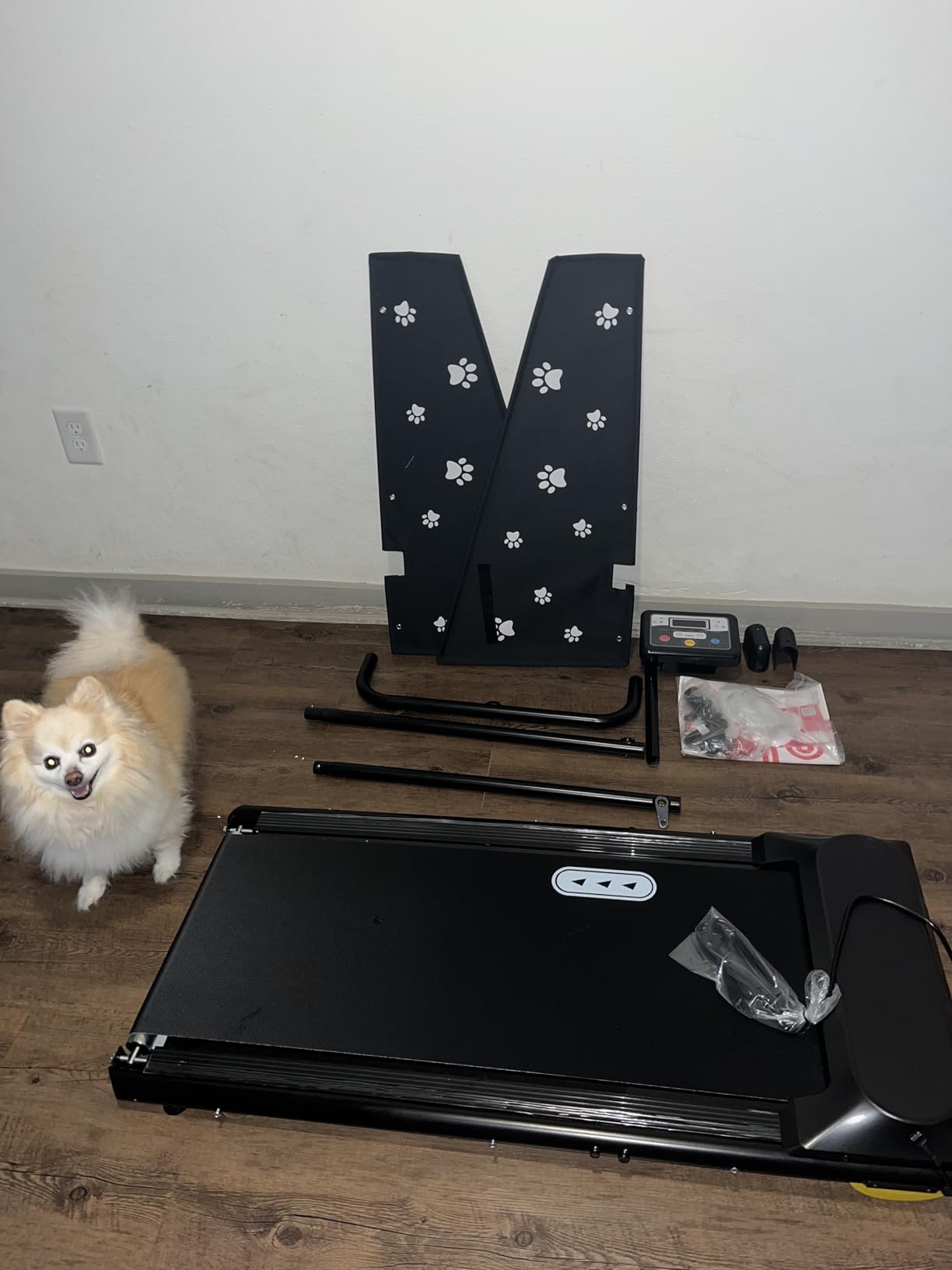 CIIHI Dog Treadmill for Medium Small Dogs - Pet Running Machine | 265lbs Capacity, 360 Degree Rotatable Display, Indoor Pet Fitness & Training, Move Wheels & Remote Control, 2 in 1 Treadmill customer photo 1