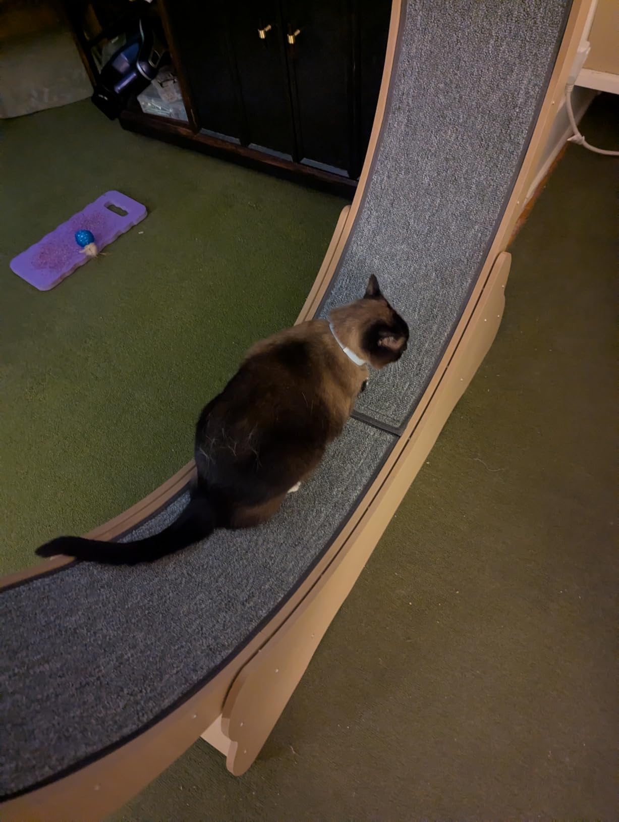 VEVOR Cat Exercise Wheel, 52