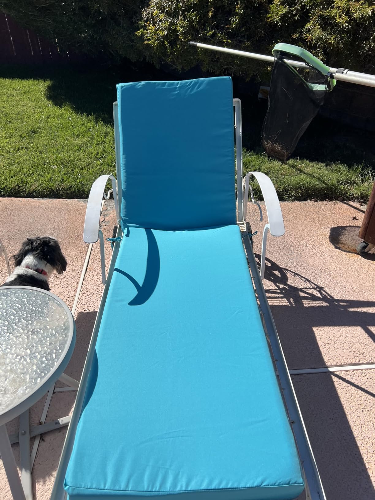 Summsun Chaise Lounge Cushions Outdoor Set of 2, 72 x 21 x 3 Inch, Teal customer photo 2