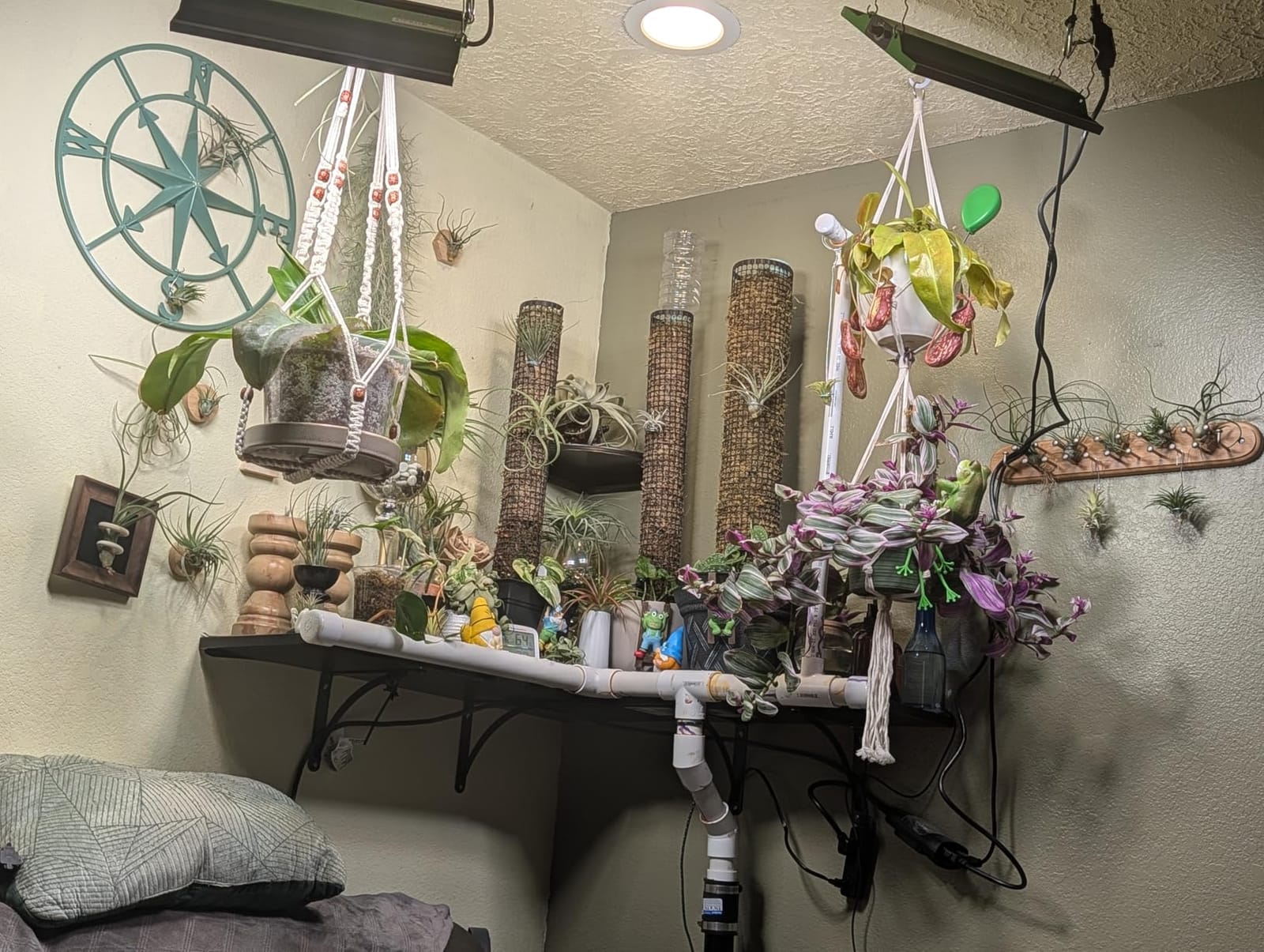 70 Watt Grow Light, Dimmable Plant Light, LED Grow Lights for Indoor Plants | VIPARSPECTRA P700 Full Spectrum Growing Lamp Seed Starting Seedlings Vegetable, 11000 Lumens Small Hanging for 2x2 Grow Tent customer photo 2