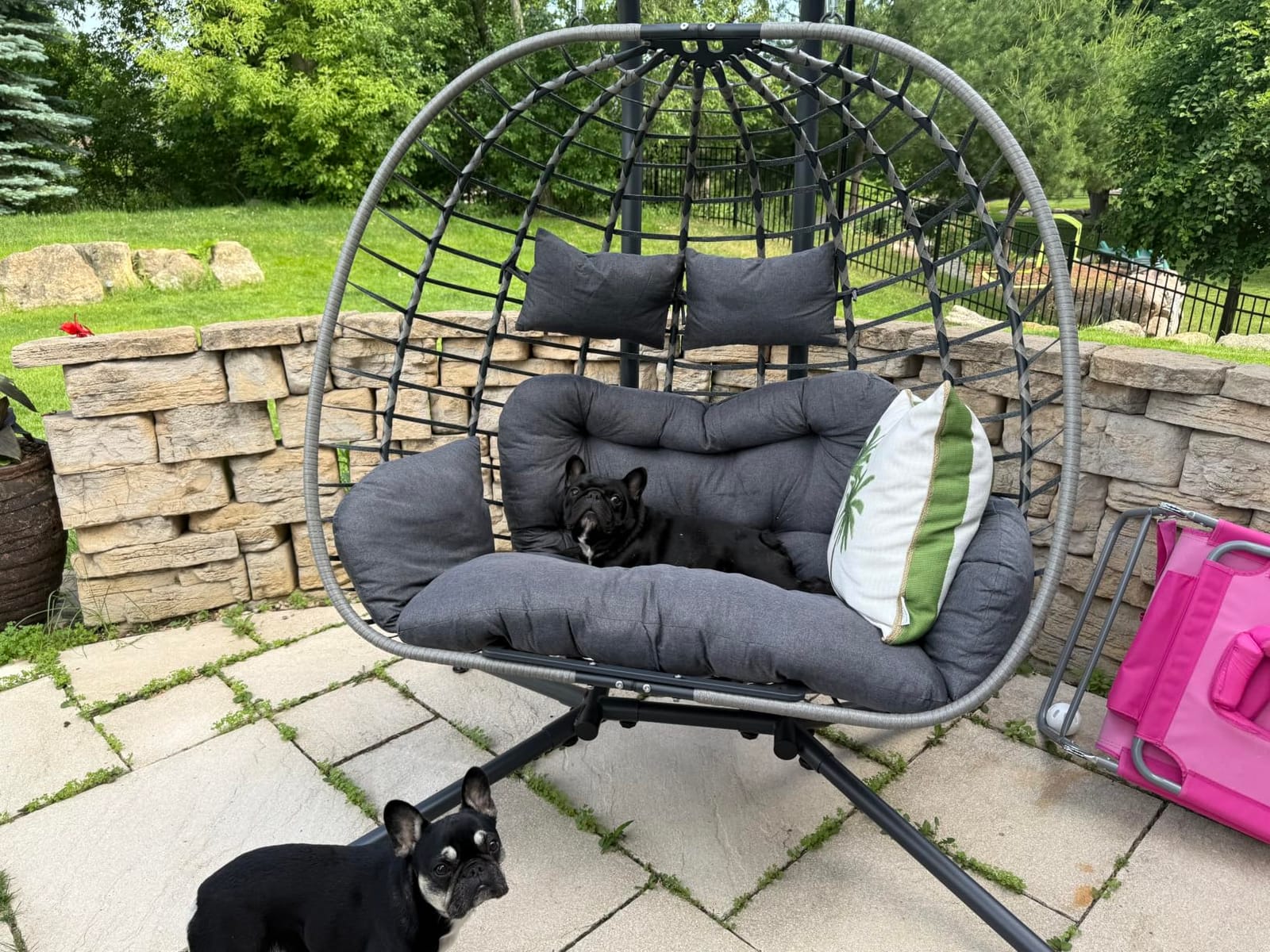 SWITTE Double Egg Chair Outdoor with Stand, Patio Hanging Swing, Grey customer photo 2