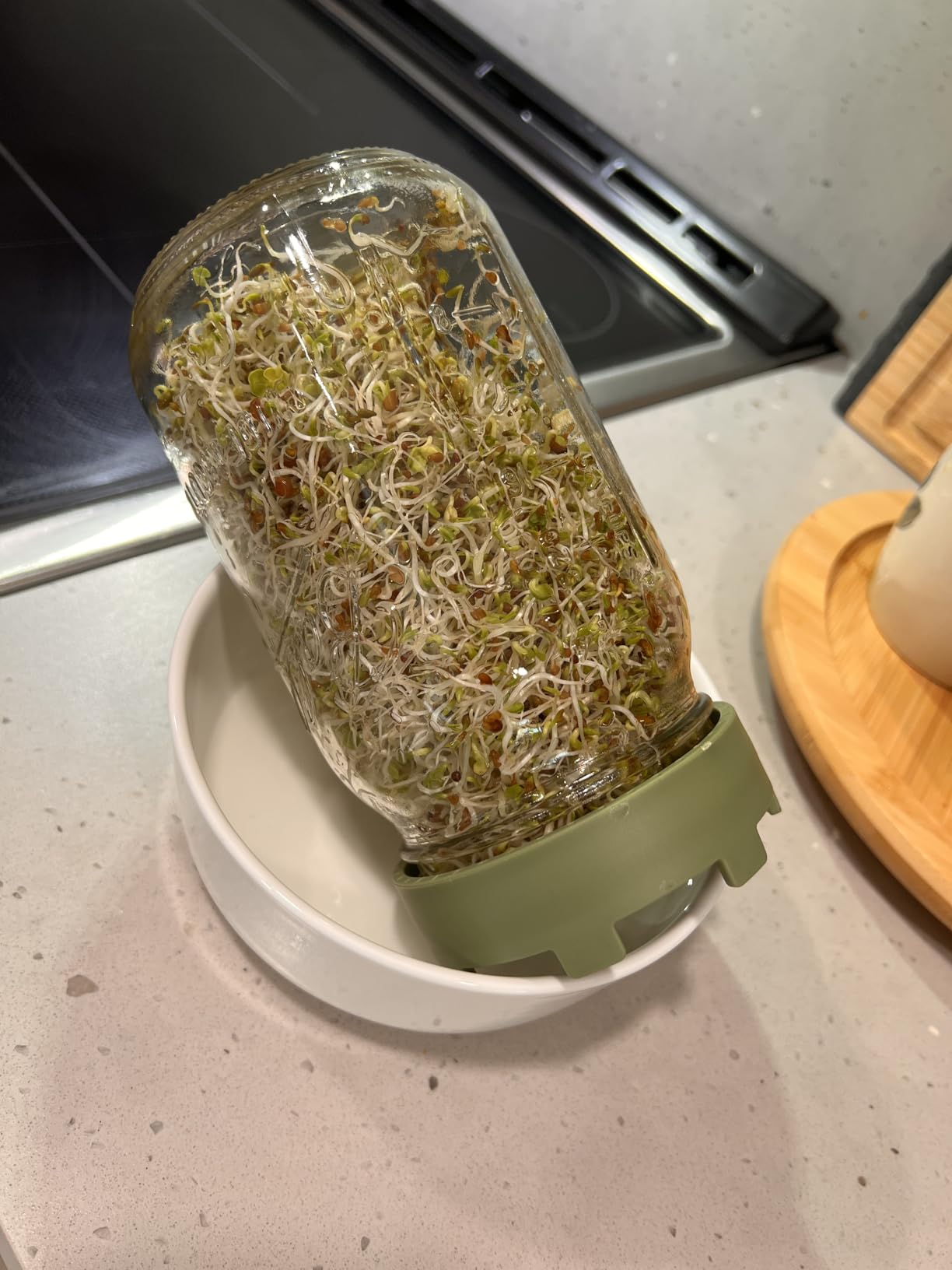 Elementi Sprouting Lids for Wide Mouth Mason Jars (Set of 4), Sprouting Jar Kit for Organic Alfalfa & Mung Bean Sprouts Growing Kit, 316 Stainless Steel Mesh Screen Strainer Lid (Sage Green) customer photo 2