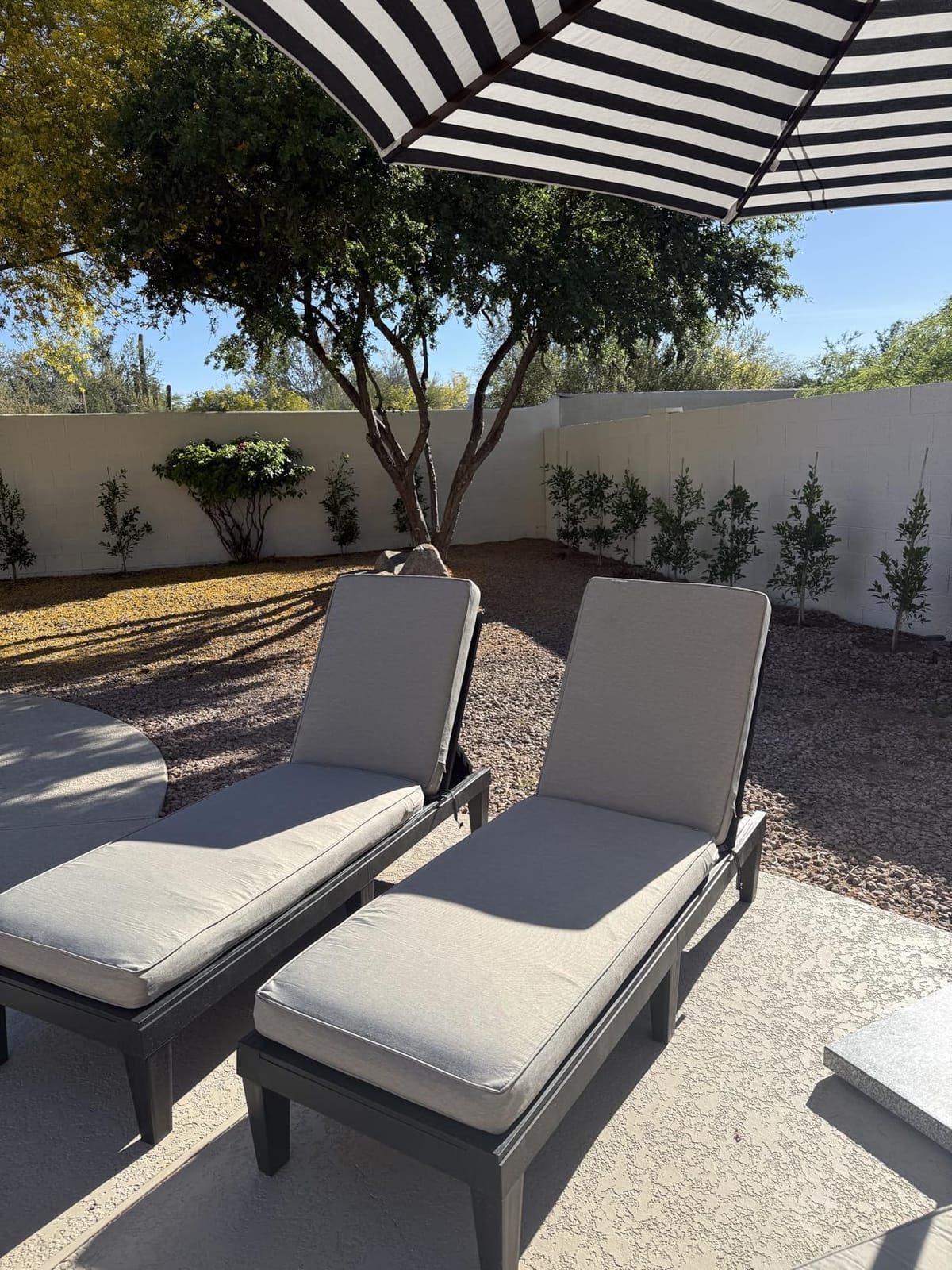 Classic Accessories Montlake Outdoor Chaise Lounge Cushion, Weatherproof, 80 Inch, Antique Beige, Set of 2 customer photo 2
