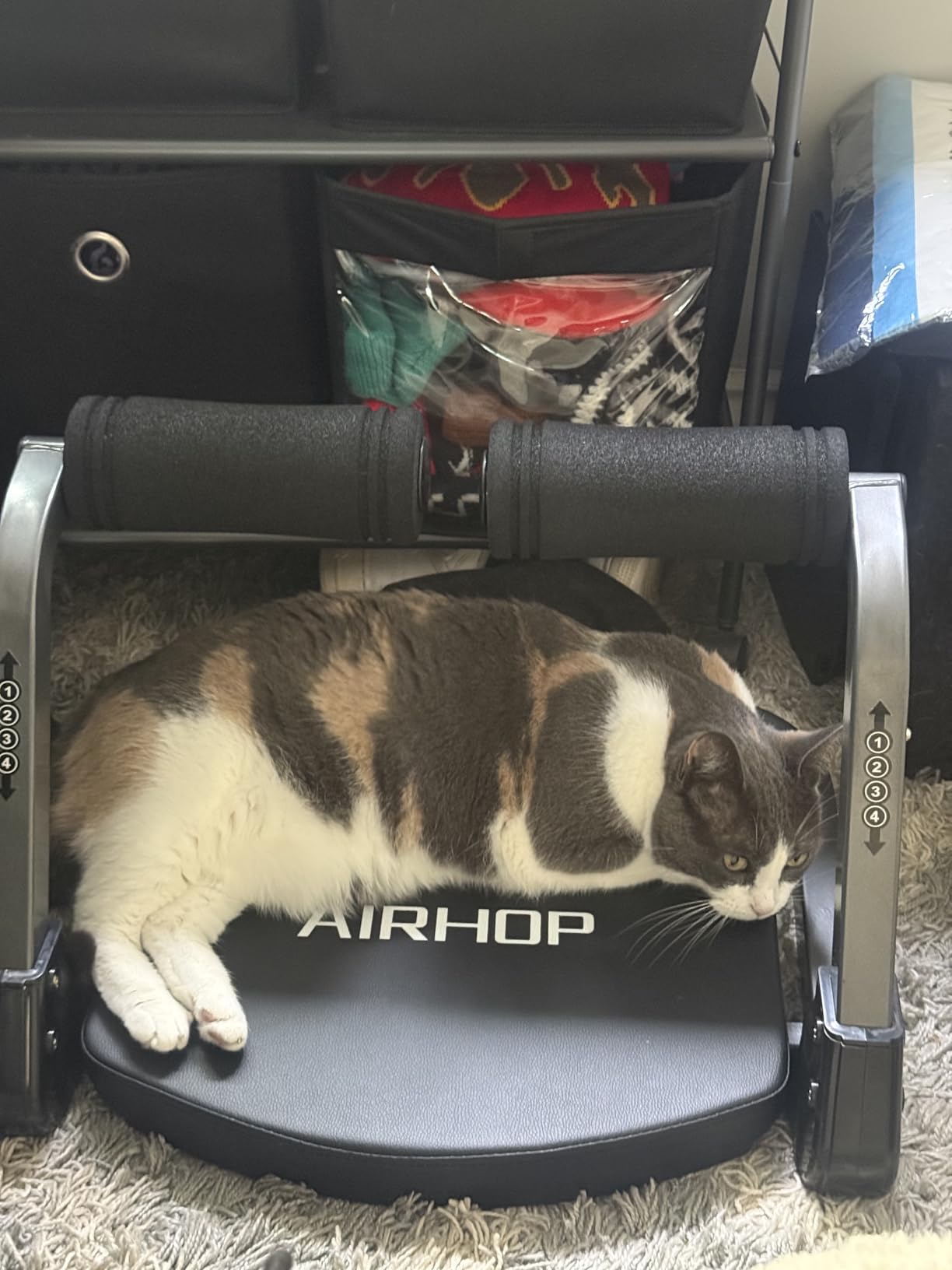AIRHOP Ab Machine 4-Speed Auto Rebound Sit Up Abdominal Trainer Home Gym customer photo 2
