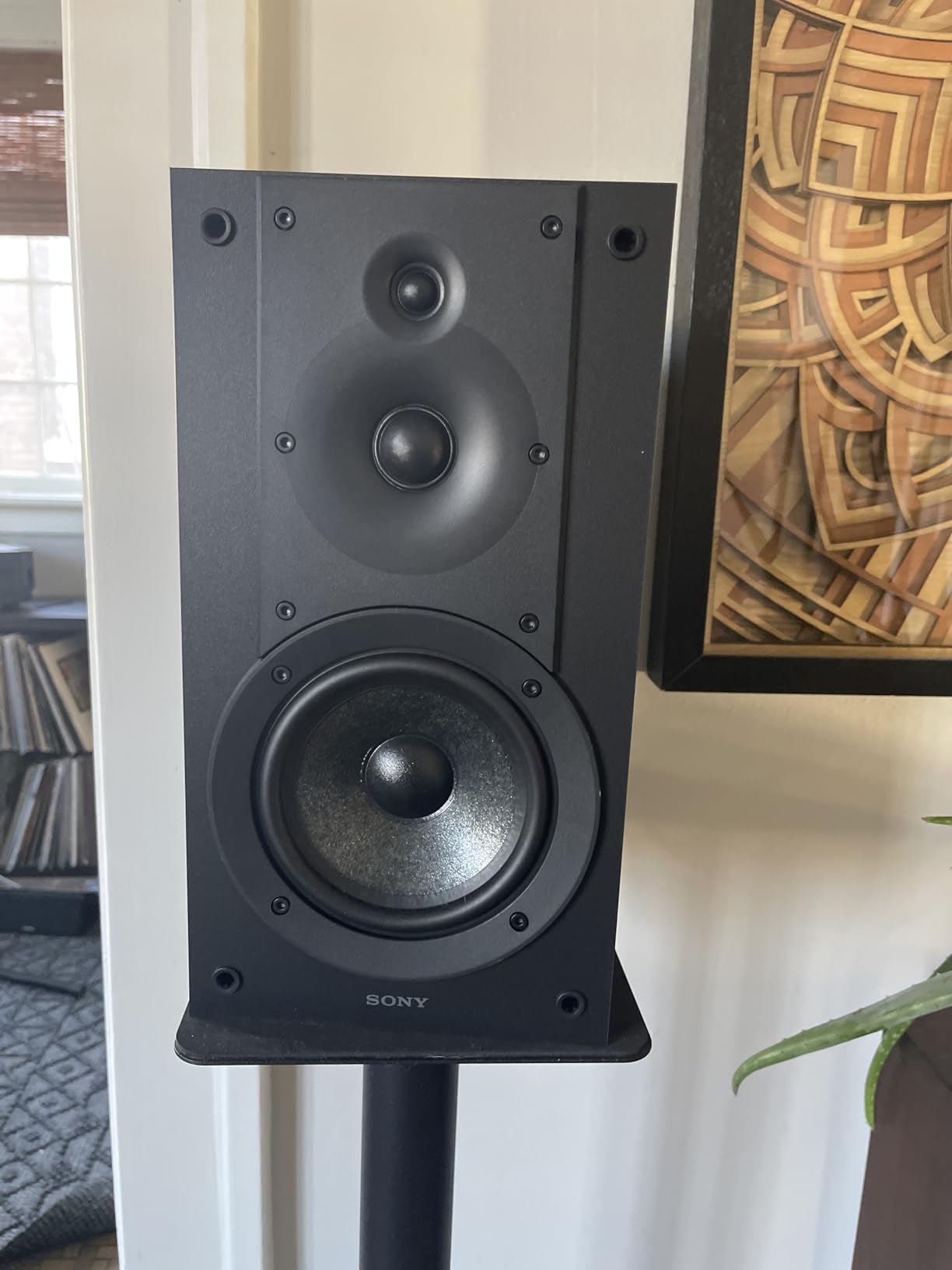 Sony SS-CS5M2 3-Way 3-Driver Hi-Res Compact Bookshelf Speakers (Pair) | CS Speaker Home Theater Series customer photo 1