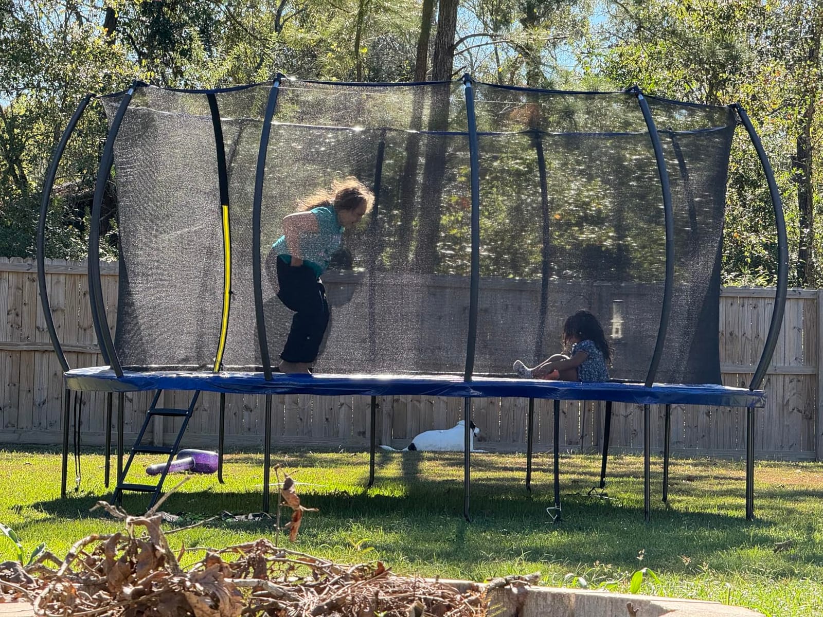 ORCC 1300LBS Weight Capacity Trampoline 16 15 12FT with Basketball Hoop Water Sprinkler Spiral Ground Stakes Outdoor Yard Trampolines for Kids Adults customer photo 1
