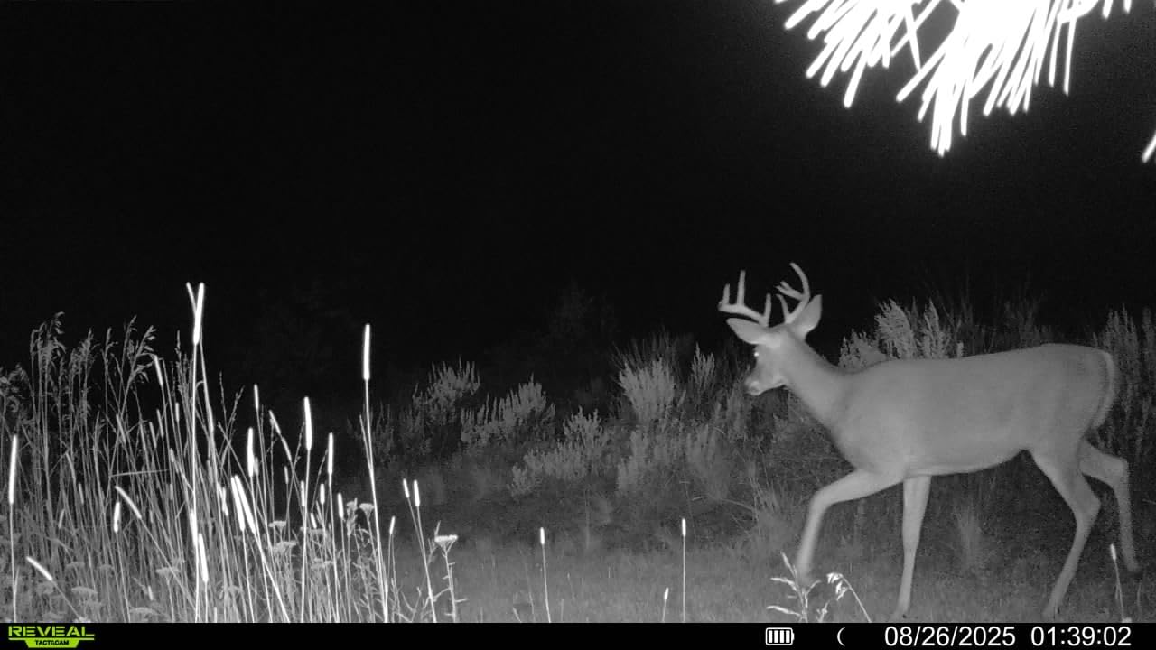 TACTACAM Reveal Ultra Cellular Trail Camera: 4K Photo, 1080p Video, Live View, GPS Tracking-Enabled, Switchable No-Glow/Low-Glow Flash, LTE Connectivity, LCD Screen - Best Hunting, Game Camera customer photo 2