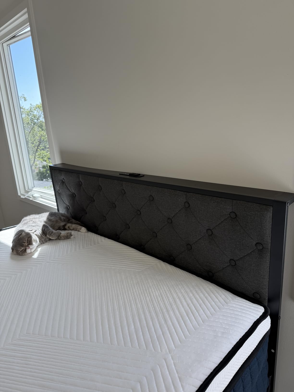Fluest Queen Bed Frame with 2 Storage Drawers, Upholstered Headboard Button Tufted Bed Frame with Charging Station, No Box Spring Needed, Noise-Free, All Metal Structure, Black customer photo 2