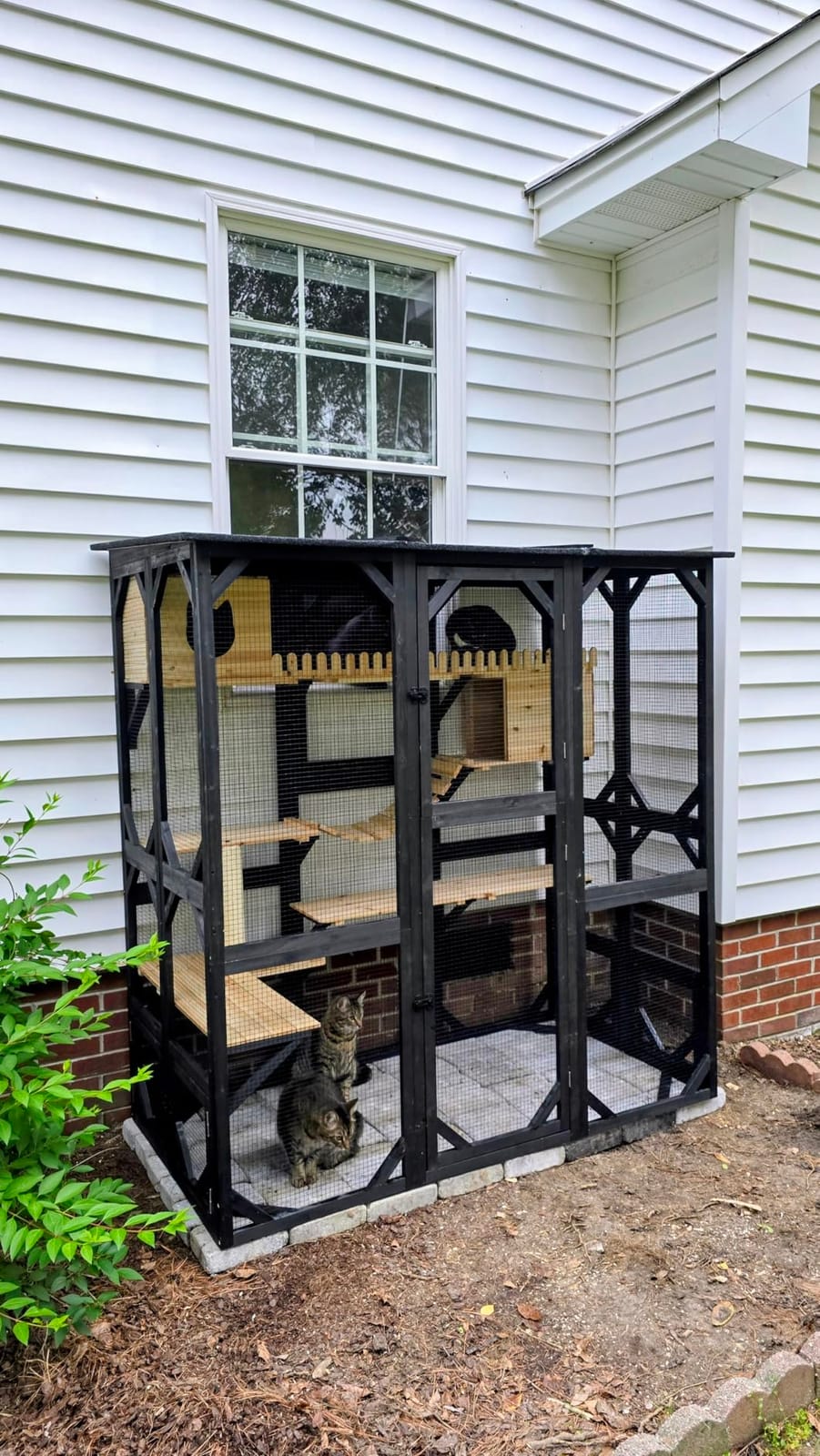 Catio Outdoor Cat Enclosure Window Access Walk-in Indoor Cat Cage Patio 71