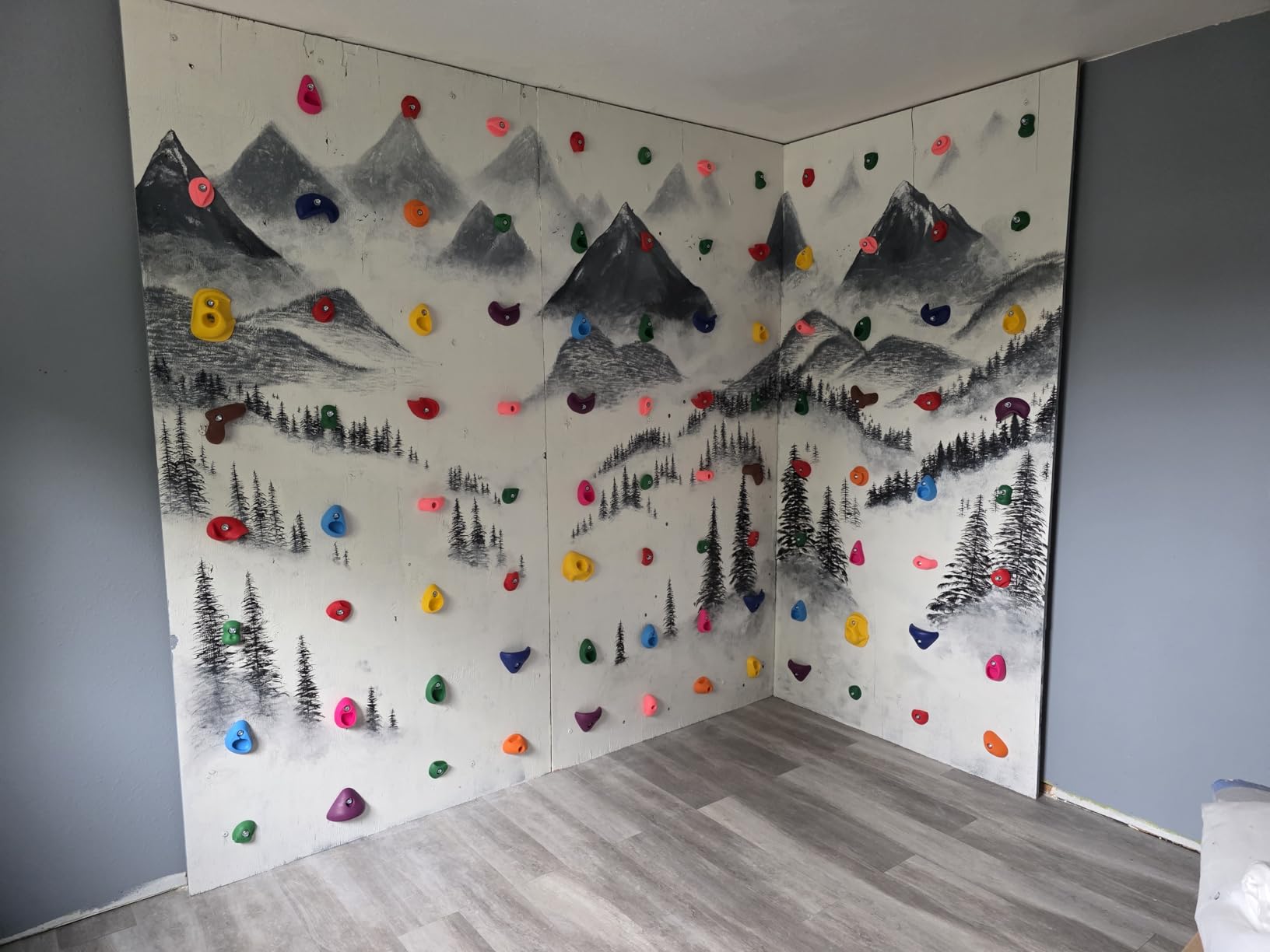 32 PCS Rock Climbing Wall for Kids, Rock Wall Climbing Holds, Adults Climbing Wall Grip Kits Holds Up to 230 lbs for Outdoor Indoor Home Playground Climbing Wall Holds customer photo 1