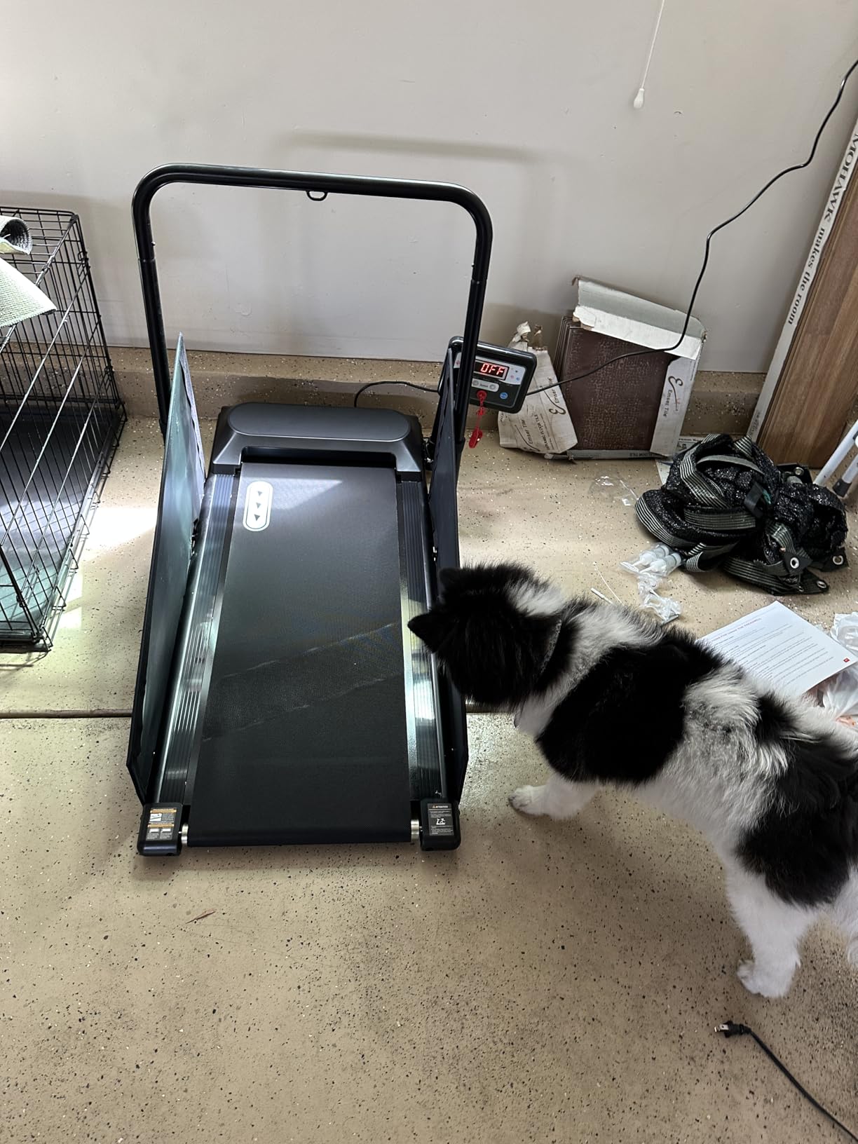 Petbobi Dog Treadmill for Small & Medium Dogs Up to 265 lbs Indoor Exercise | Quiet motor, 360° rotatable display, remote control & wheels, foldable design, fitness & weight management, easy to assemble customer photo 1